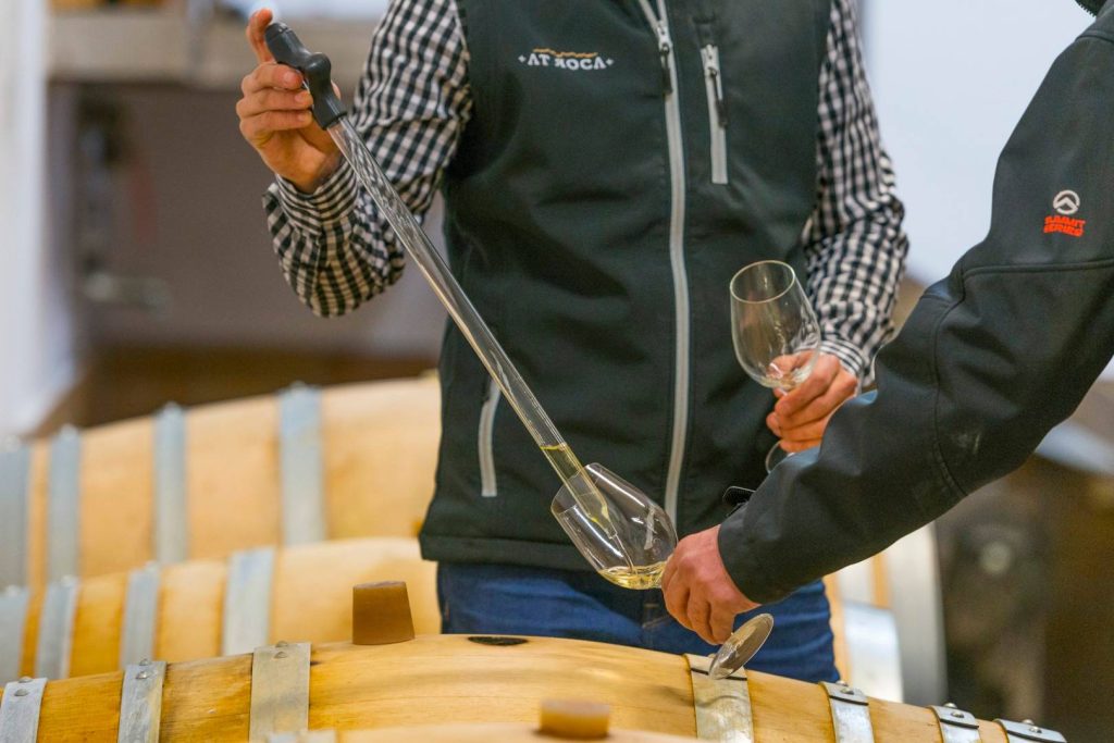 Visit At Roca and tasting of 4 wines