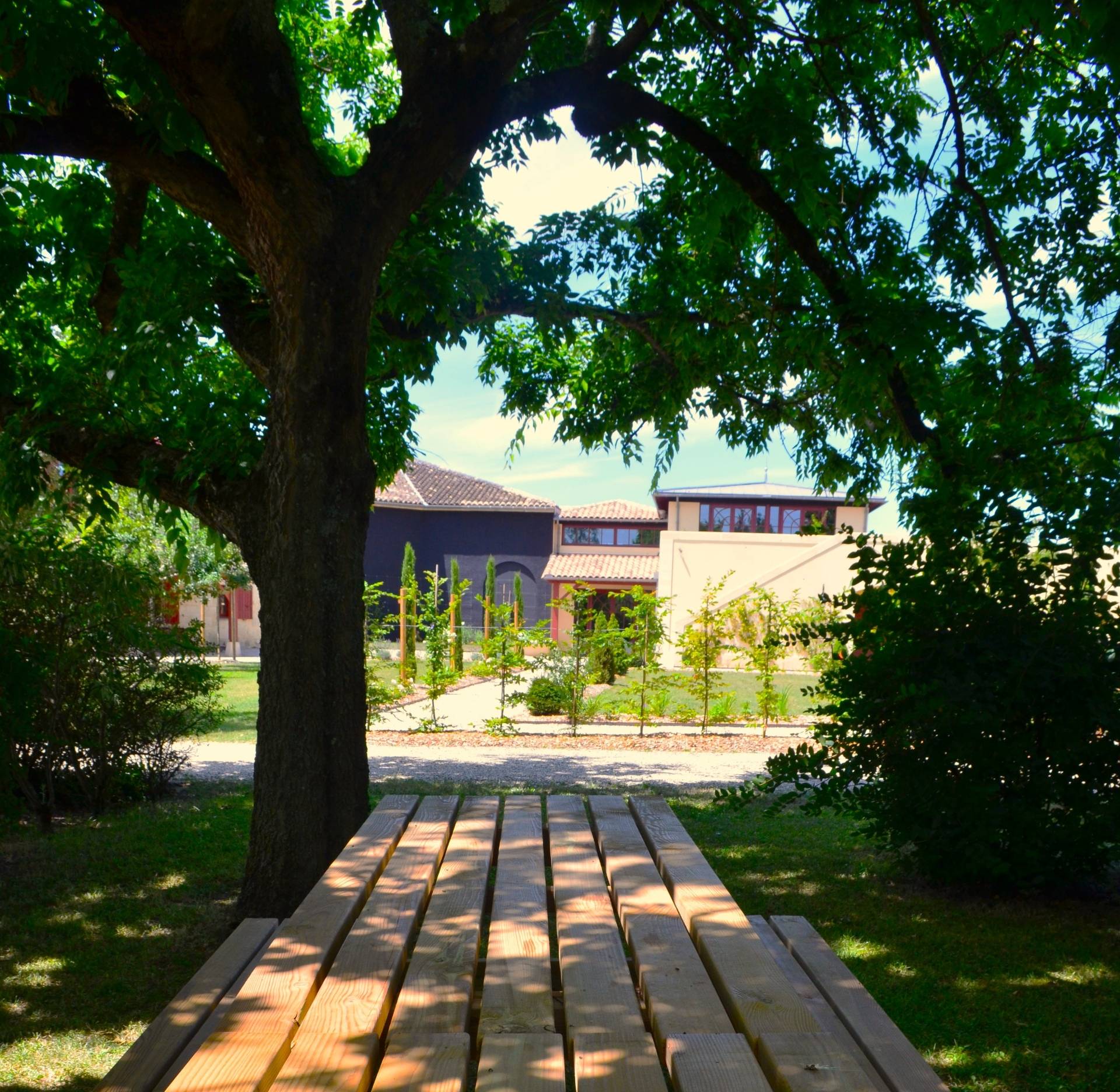 Bucolic picnic and tour with tasting