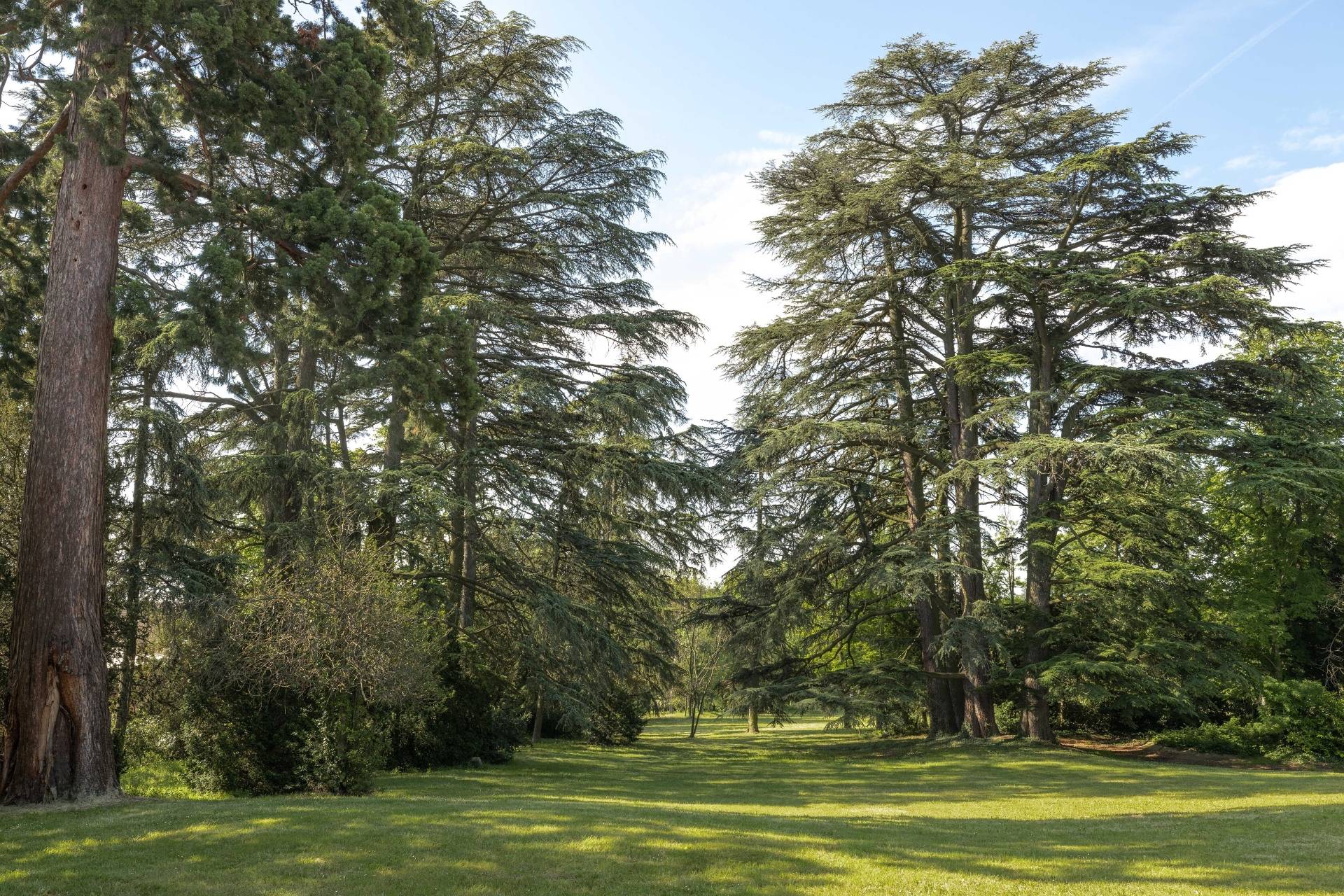 Electric bike tour, tasting and visit