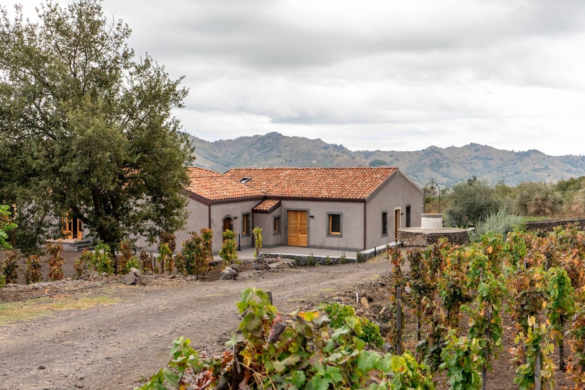 GENERAZIONE ALESSANDRO