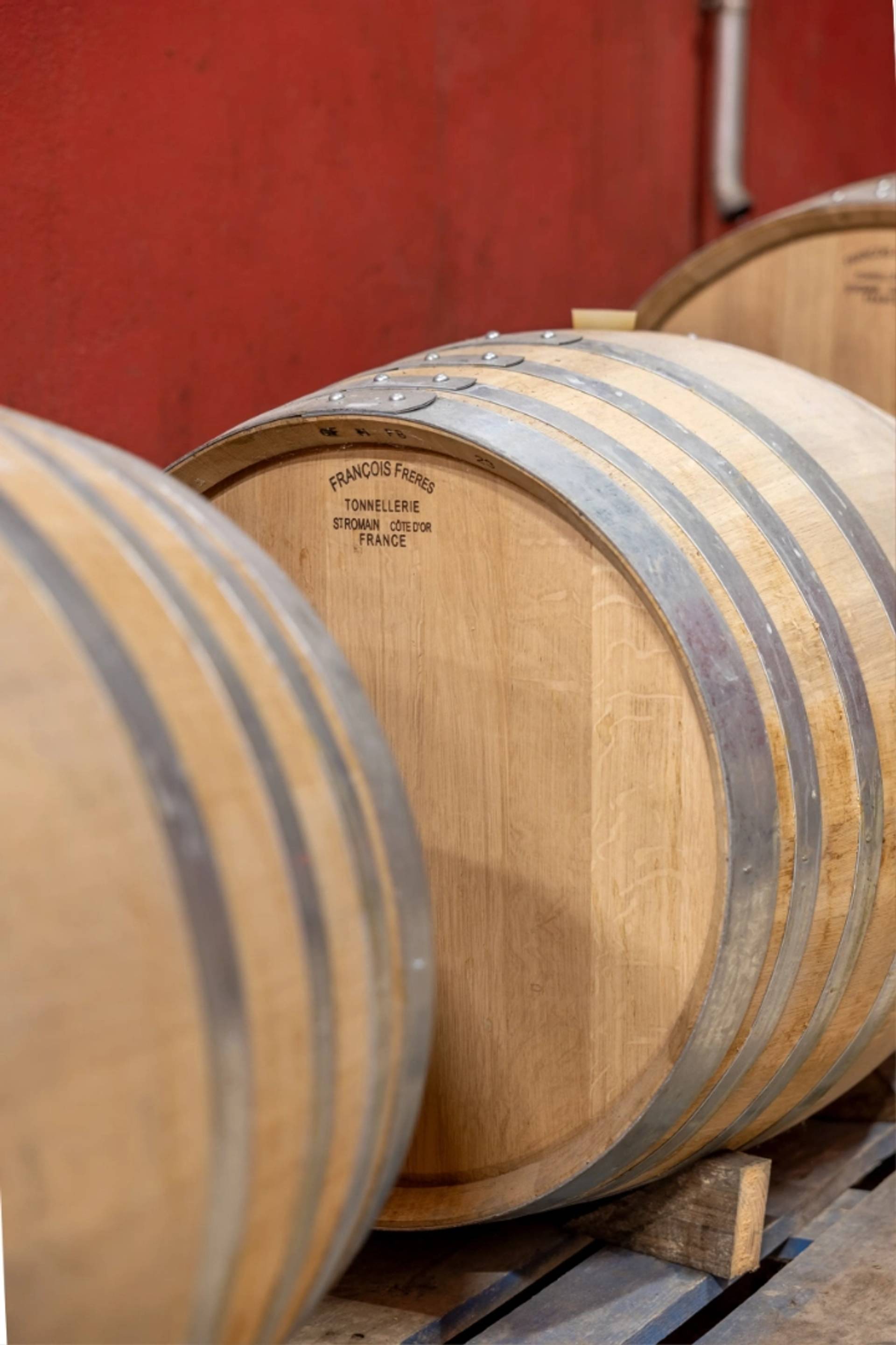 Cellar visit and tasting