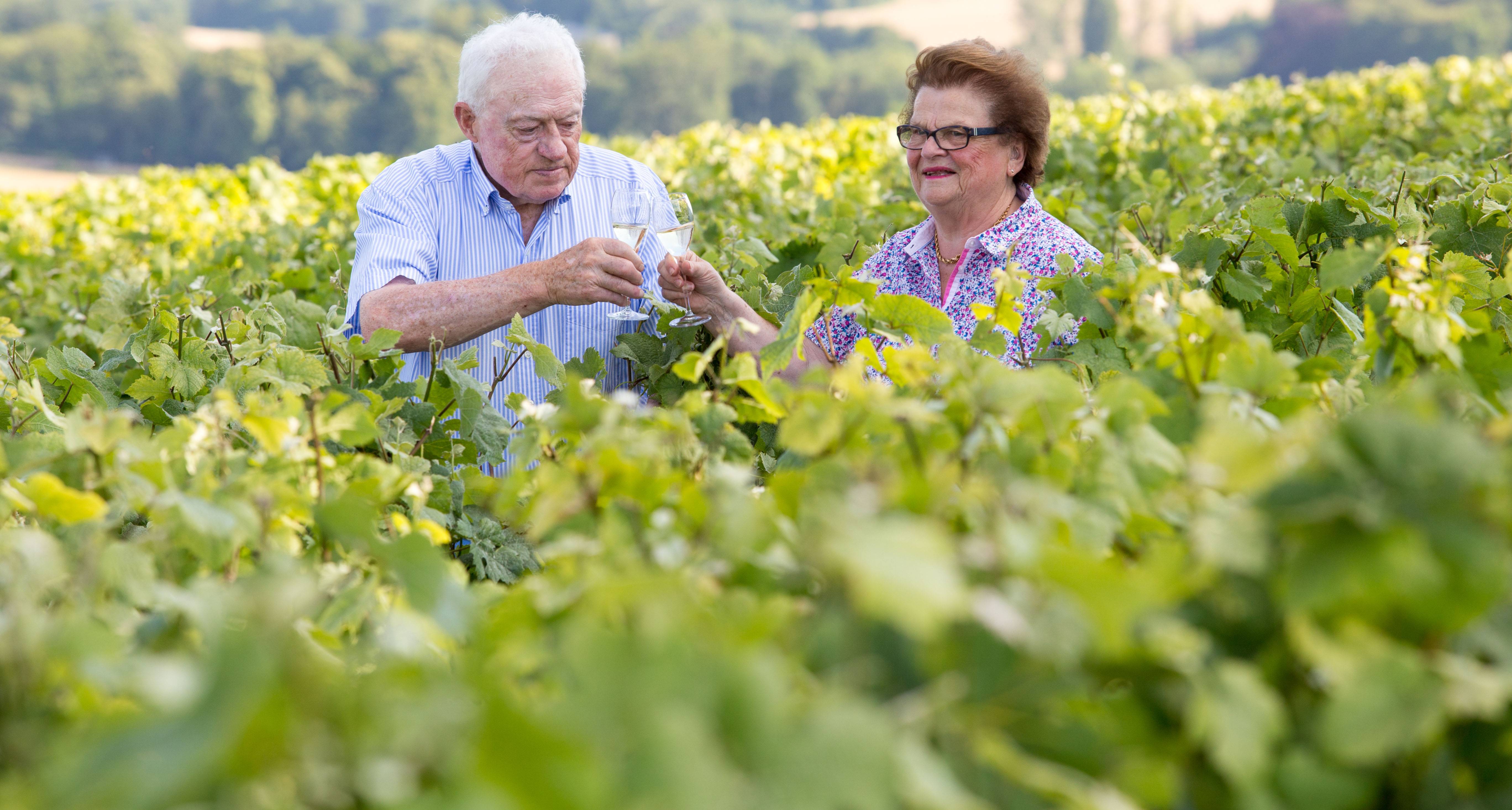 Visit and Tasting of 3 Champagnes