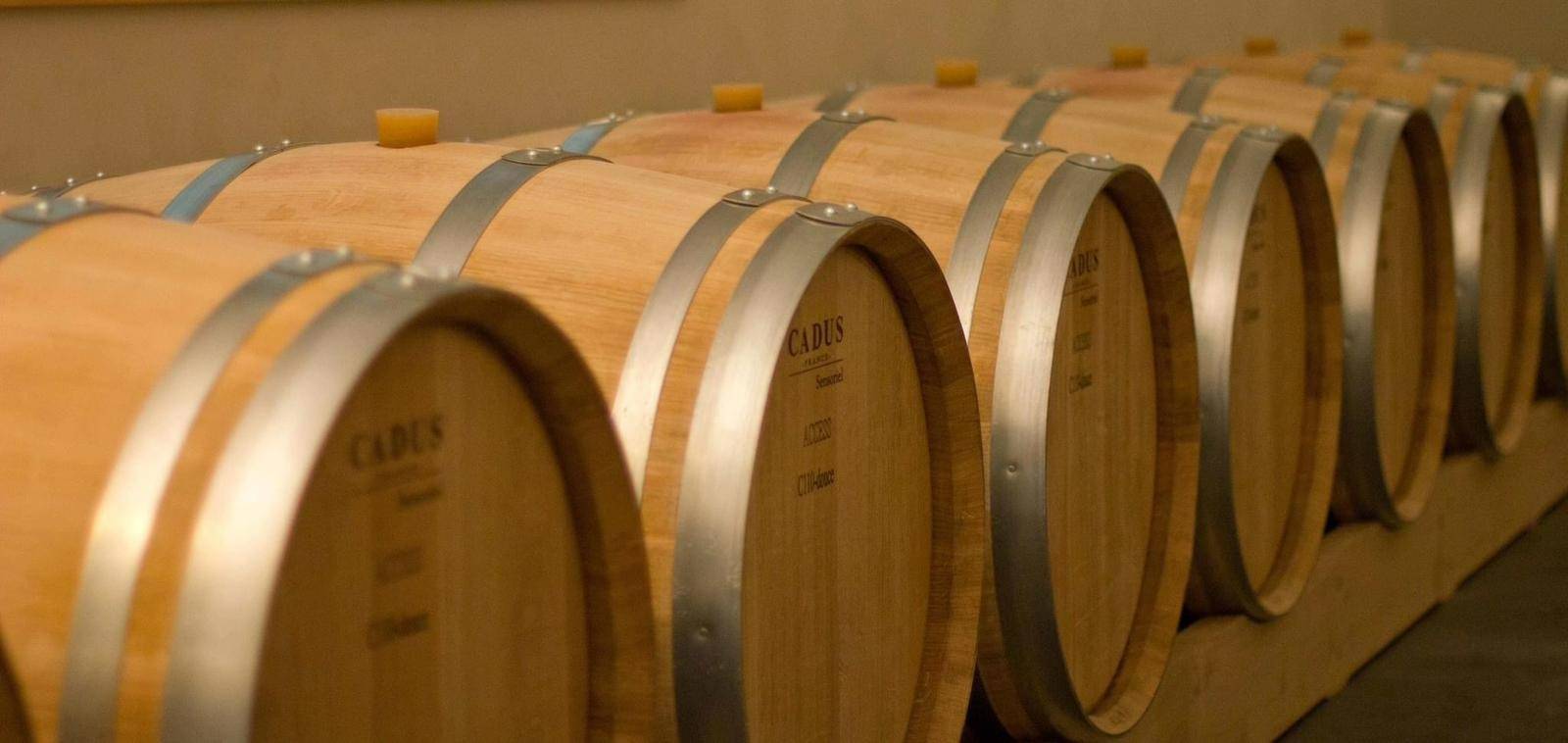 The interactive visit