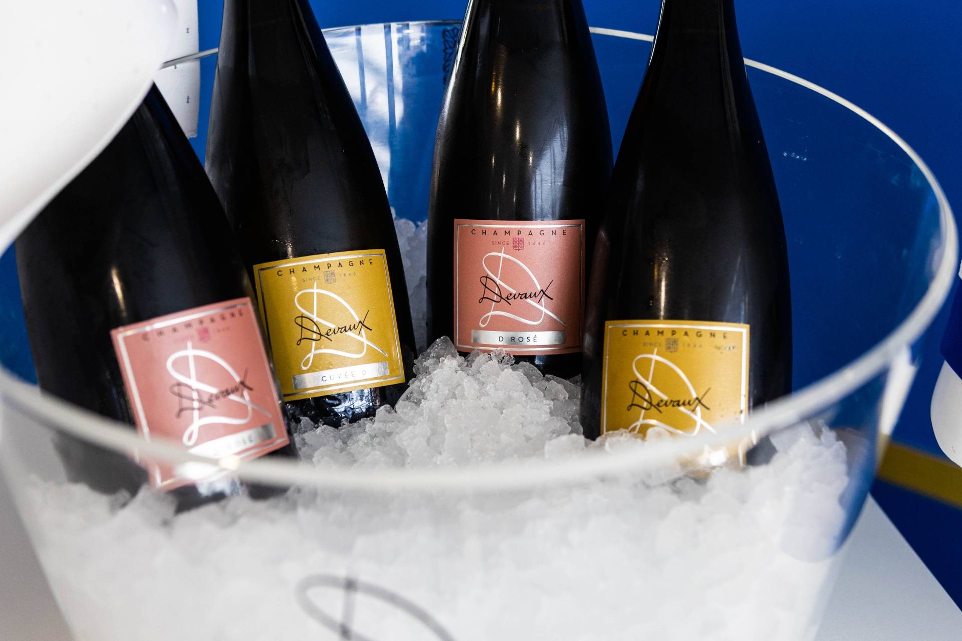 Collection D: Introduction