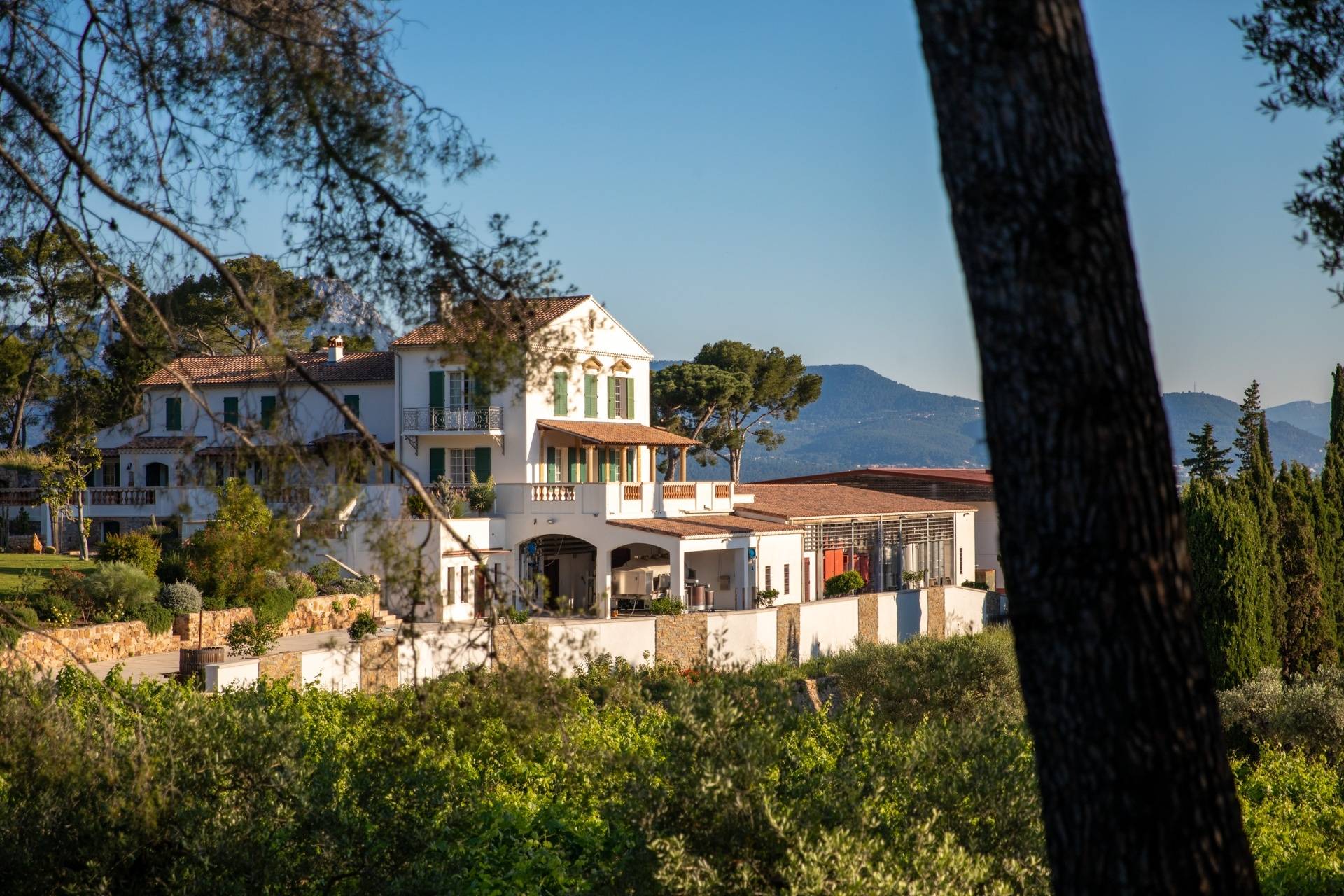 DOMAINE DE LA NAVICELLE