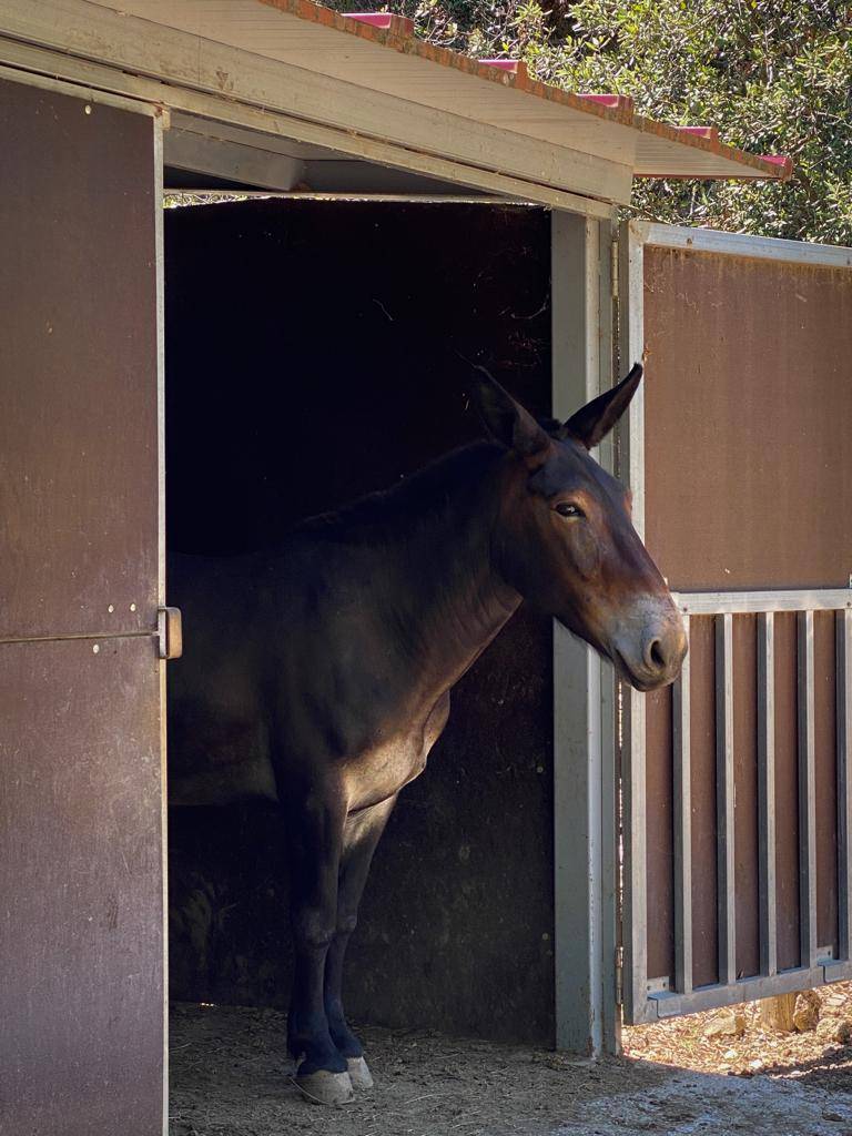 Visit with Premium Tasting