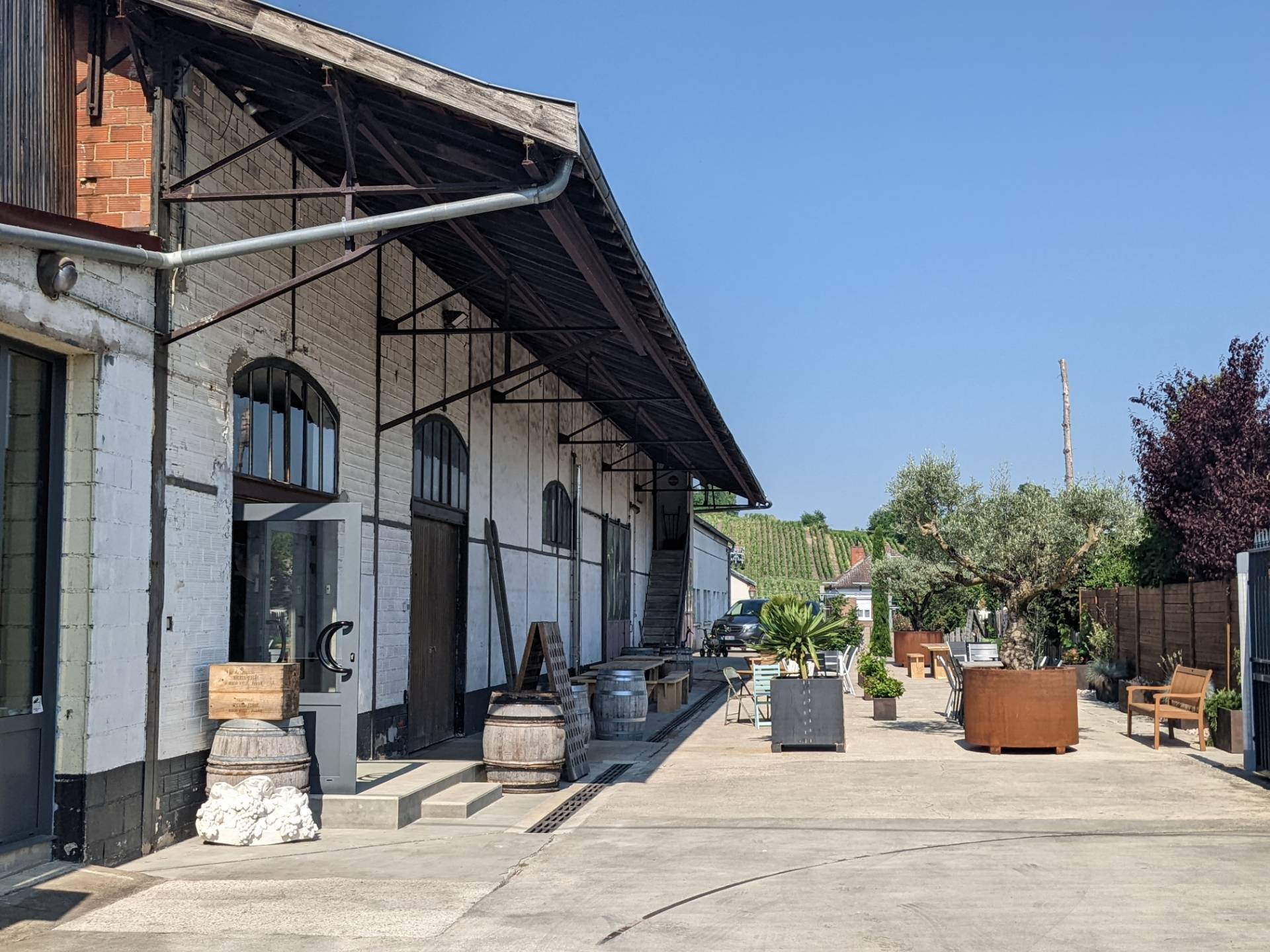 Discovery Tasting 3 Champagnes