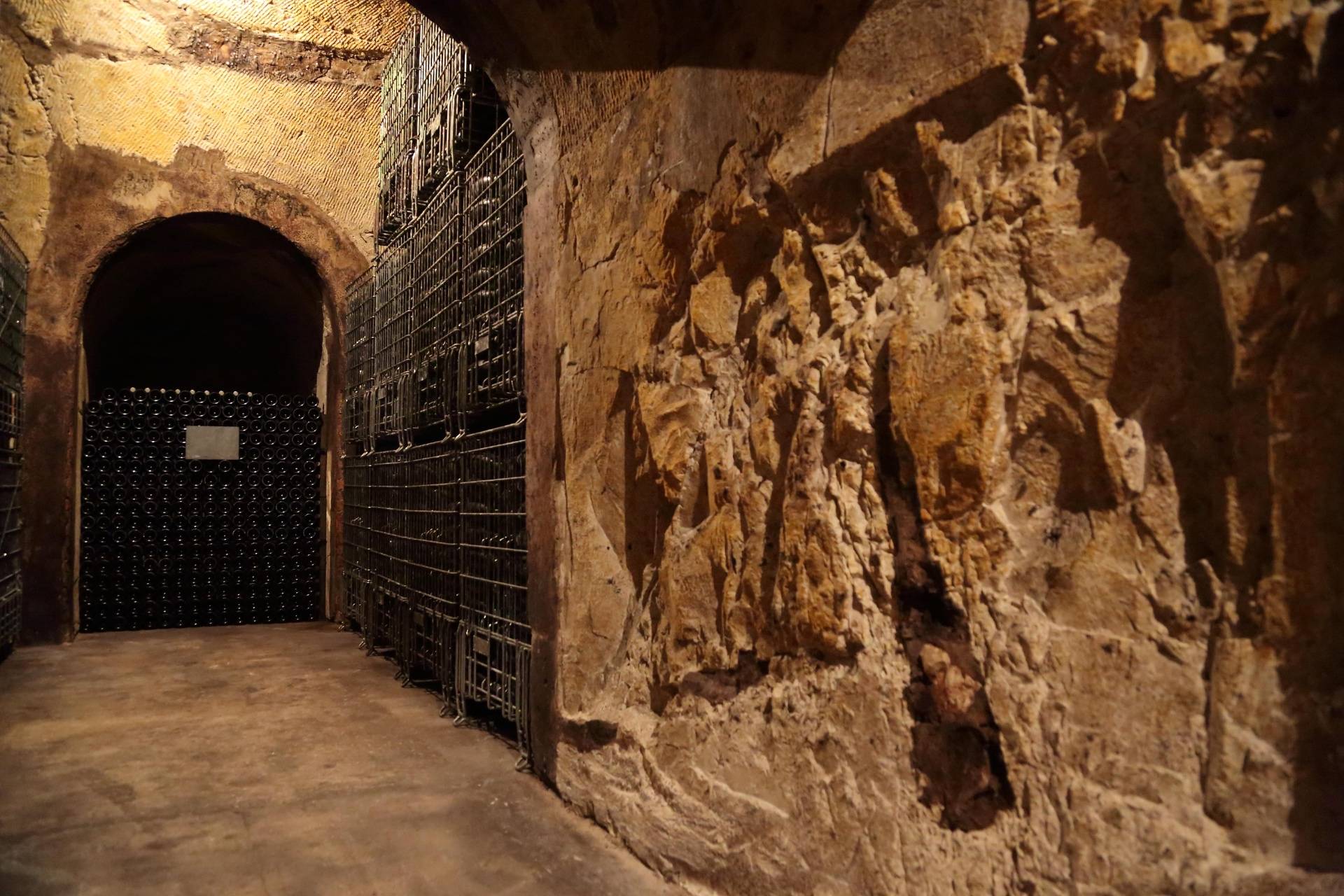 Visit to the cellars and tasting of a vintage