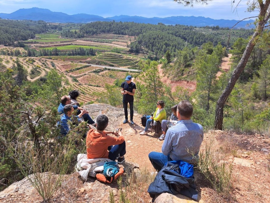 Montsant Priorat Wine Tourism Experience
