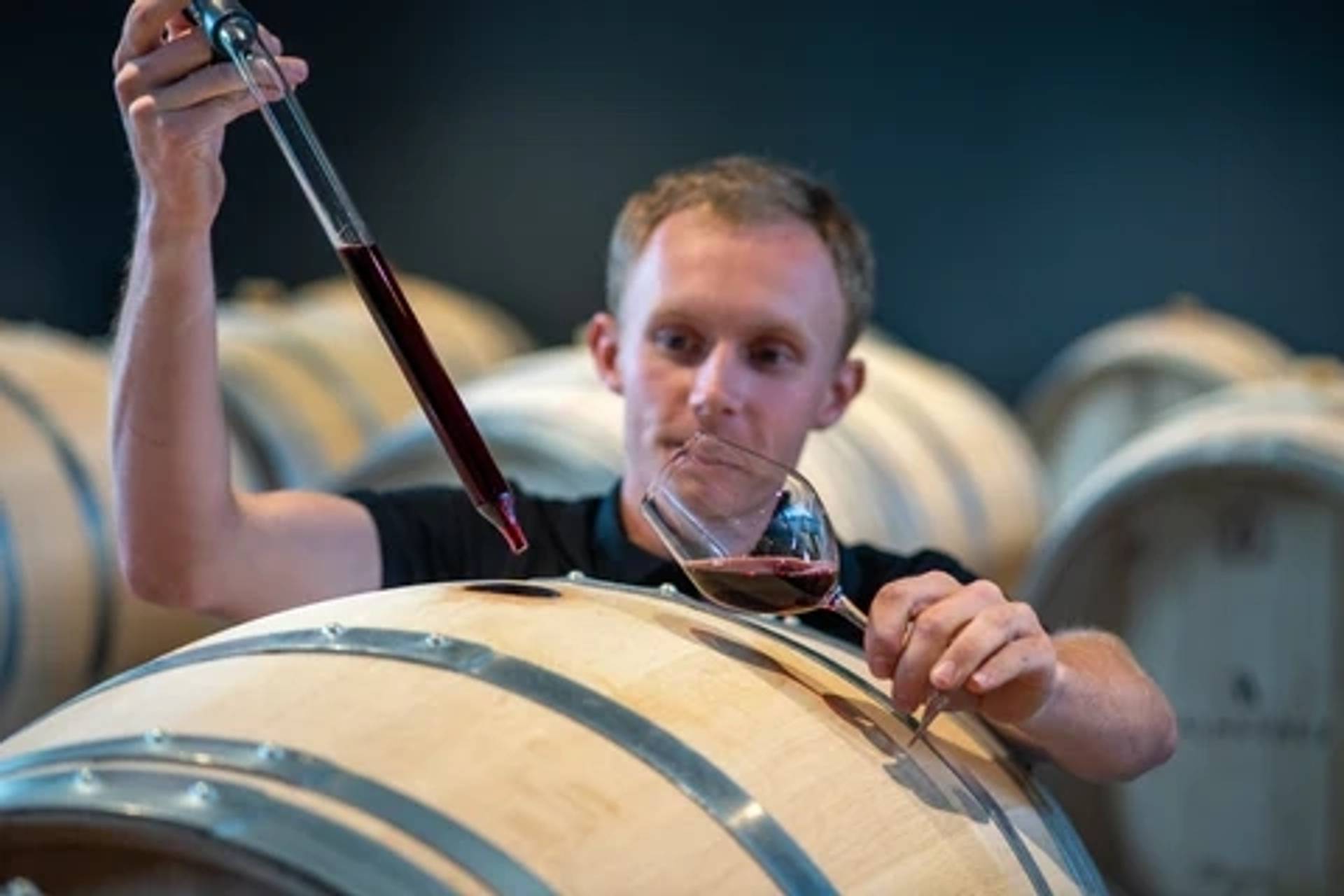 Visit to the heart of the Chai à Barriques