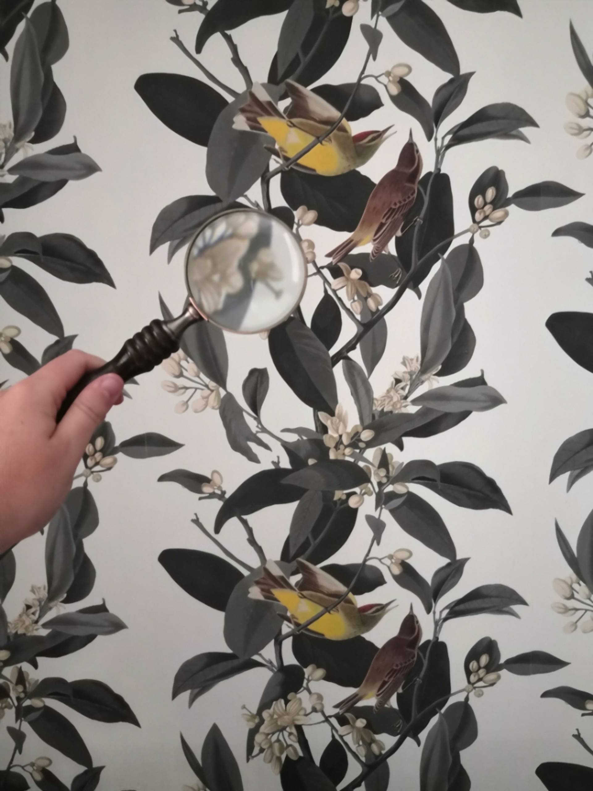 Escape game in Champagne: on the fly