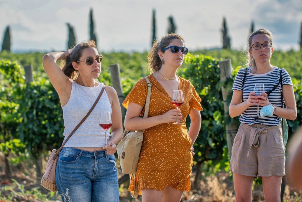 Guided tour and wine tasting