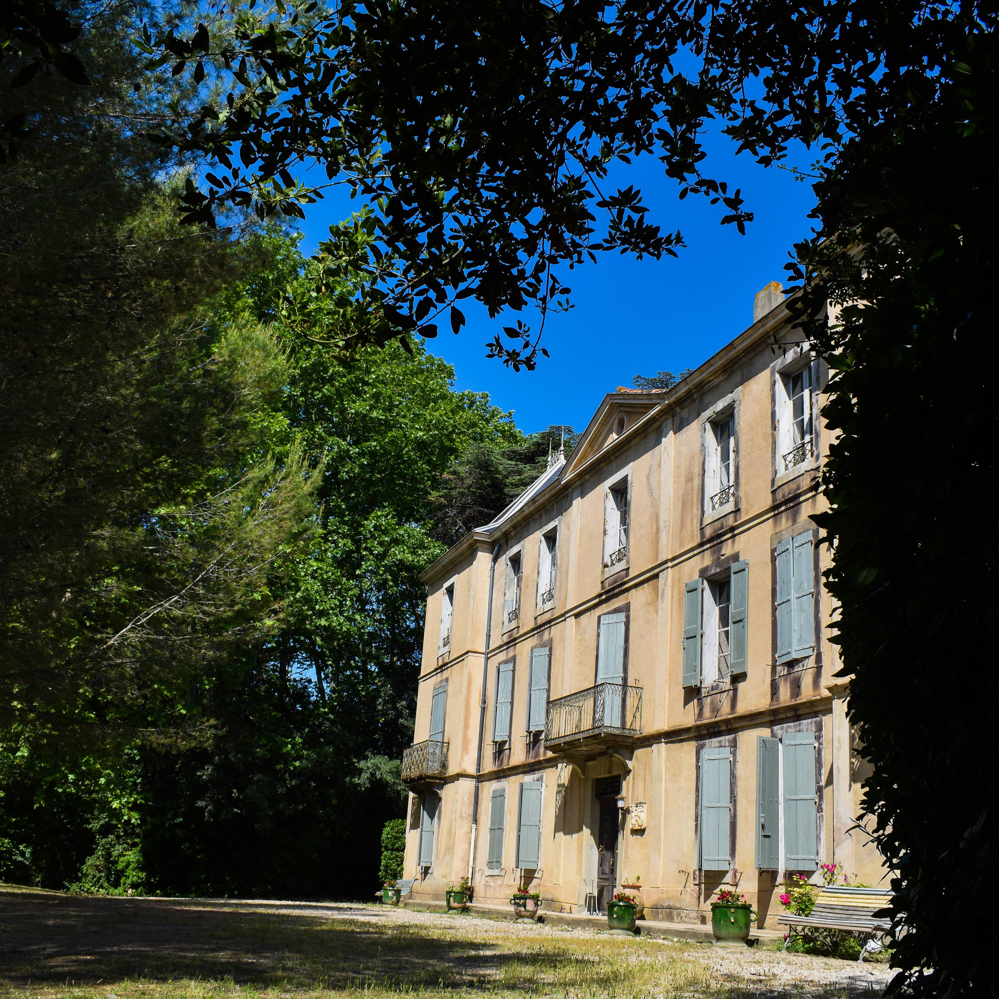 Visit Vitiforestry and history