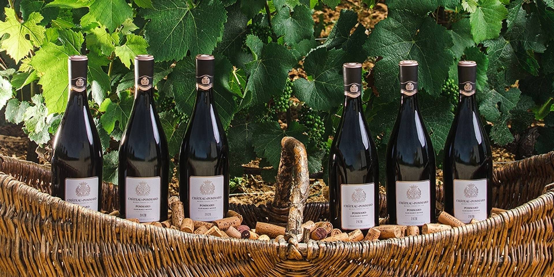 Clos Marey-Monge Tasting