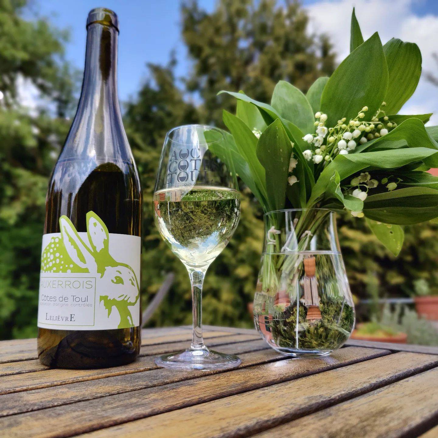 Discovery of the estate by E-Mountain bike and tasting