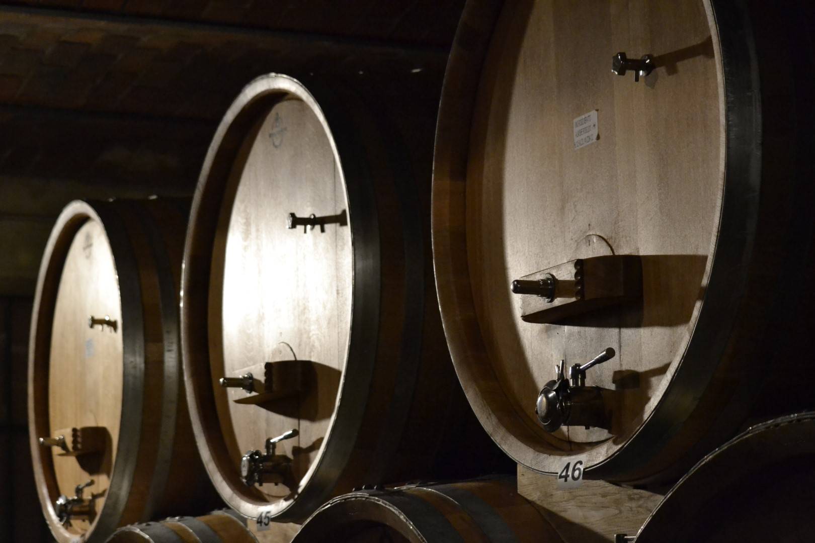 Tasting of 3 wines in the historic center of Neive