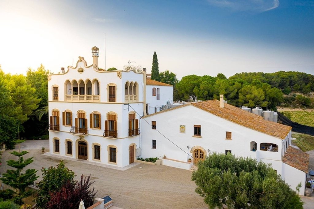 Visit with tasting of organic wines and cavas