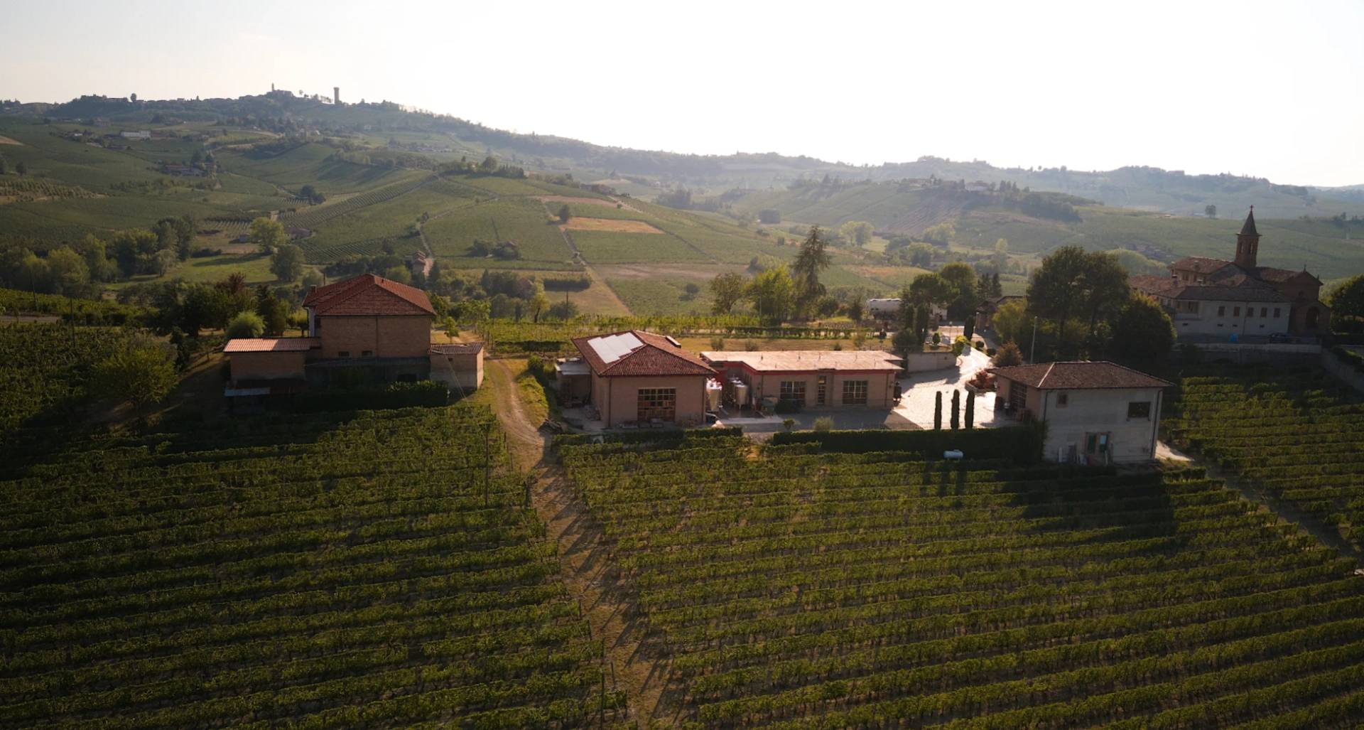 Wine Tour and Tasting between Langhe and Monferrato