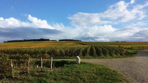 CHAMPAGNE LIONEL CARREAU