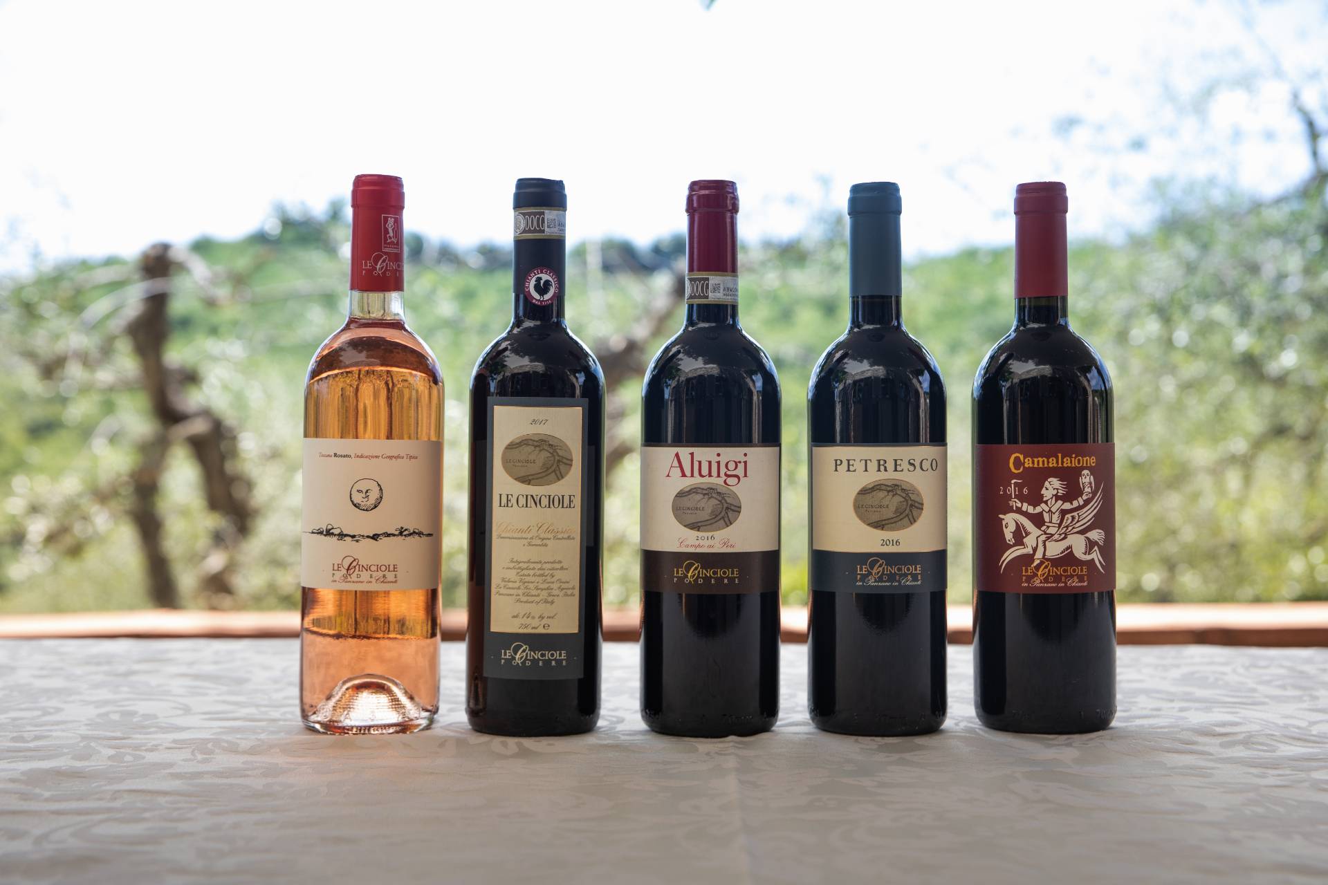 Authentic Visit and Tasting at Cinciole