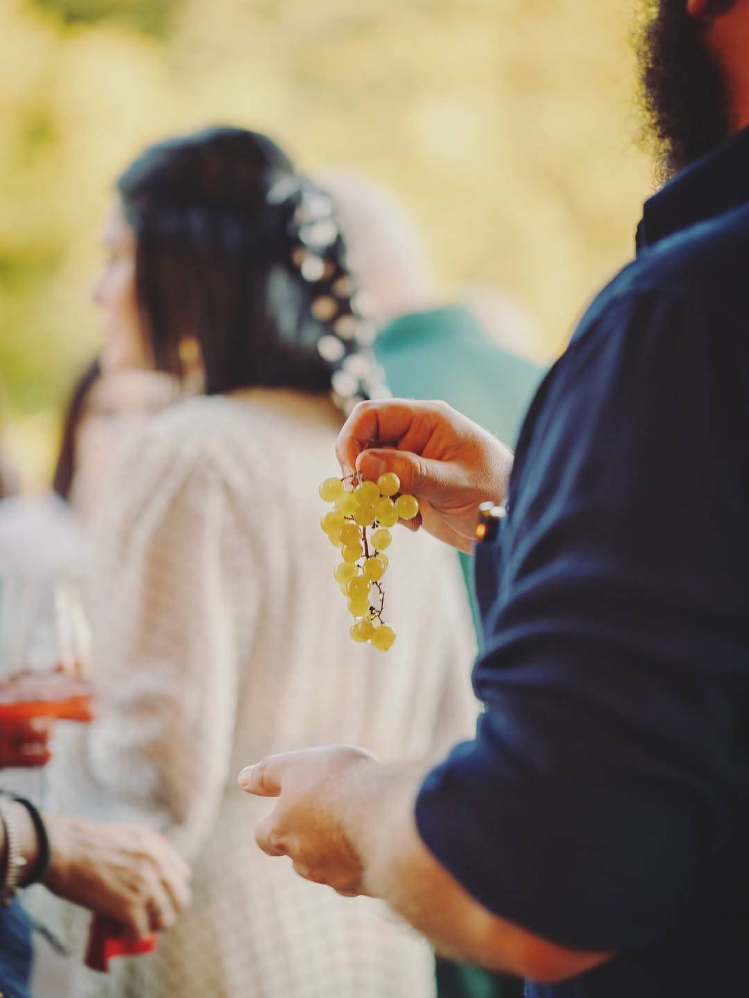 Wine Tasting & Tour in the Parma Hills