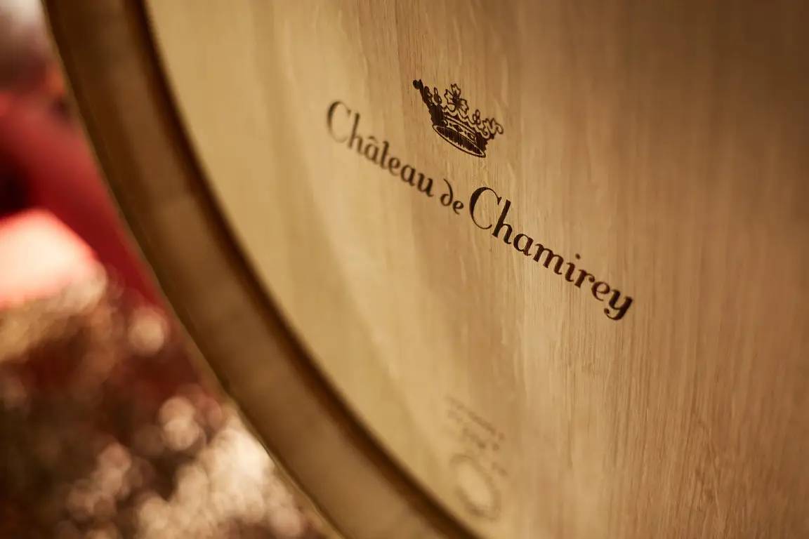 Tasting of 5 wines with aperitif board