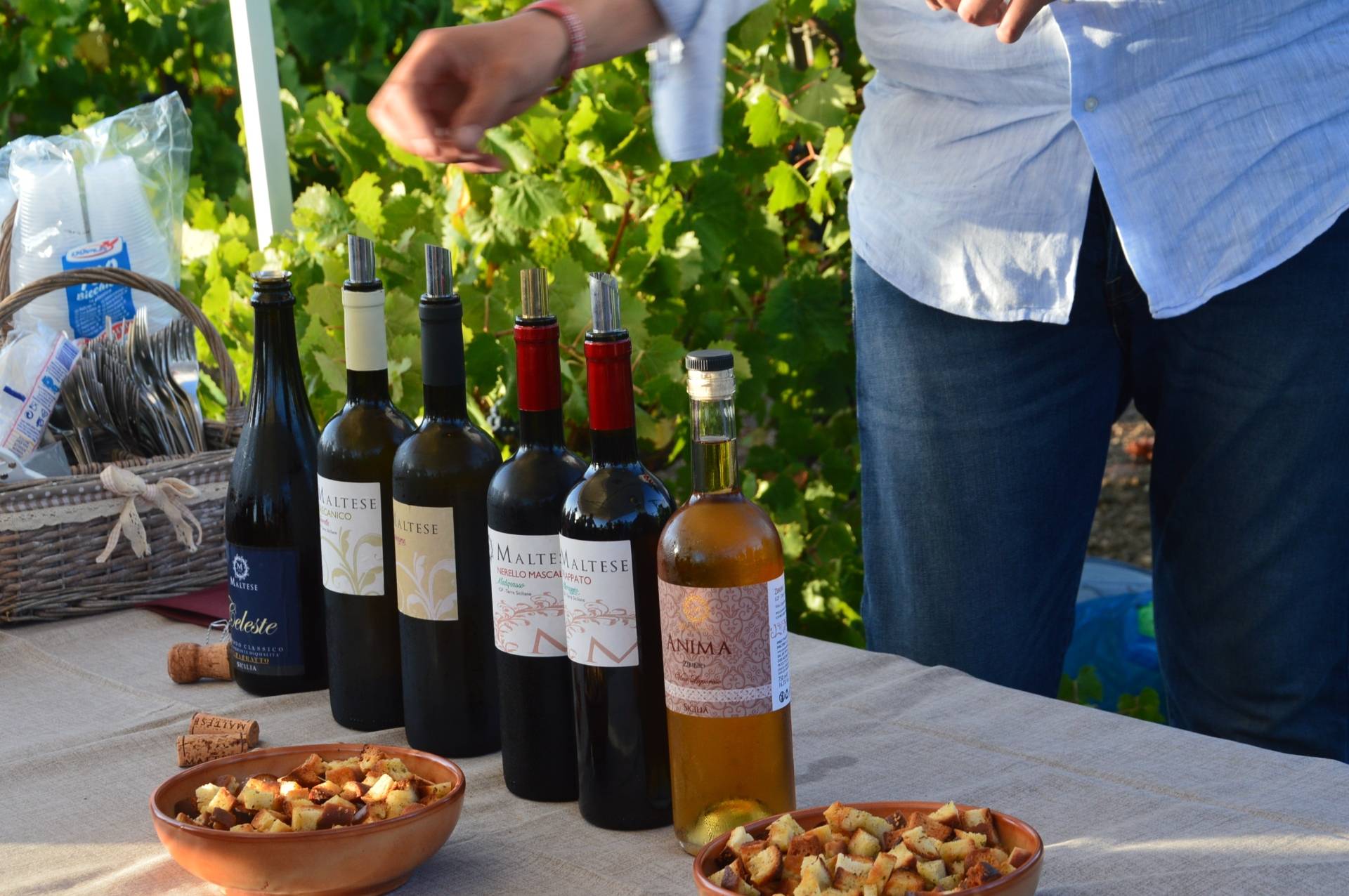 Visit to the historic cellar