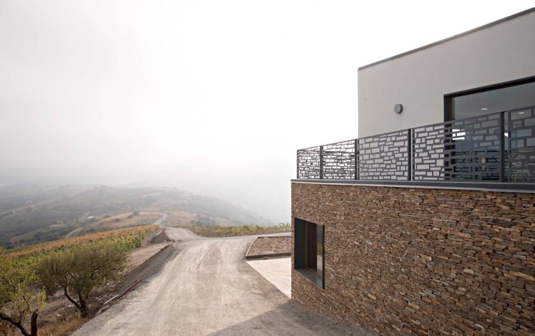 La Divisa Experience