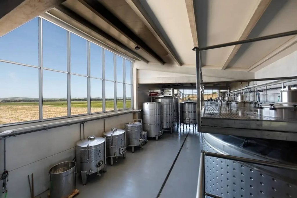 Winery view and tasting