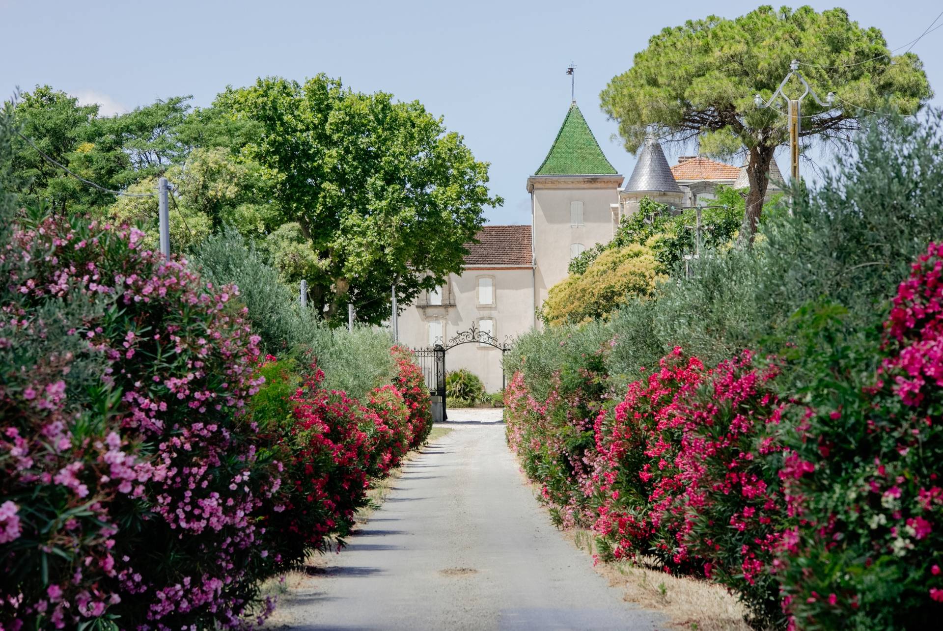 Iconic tasting & self-guided visit of the park