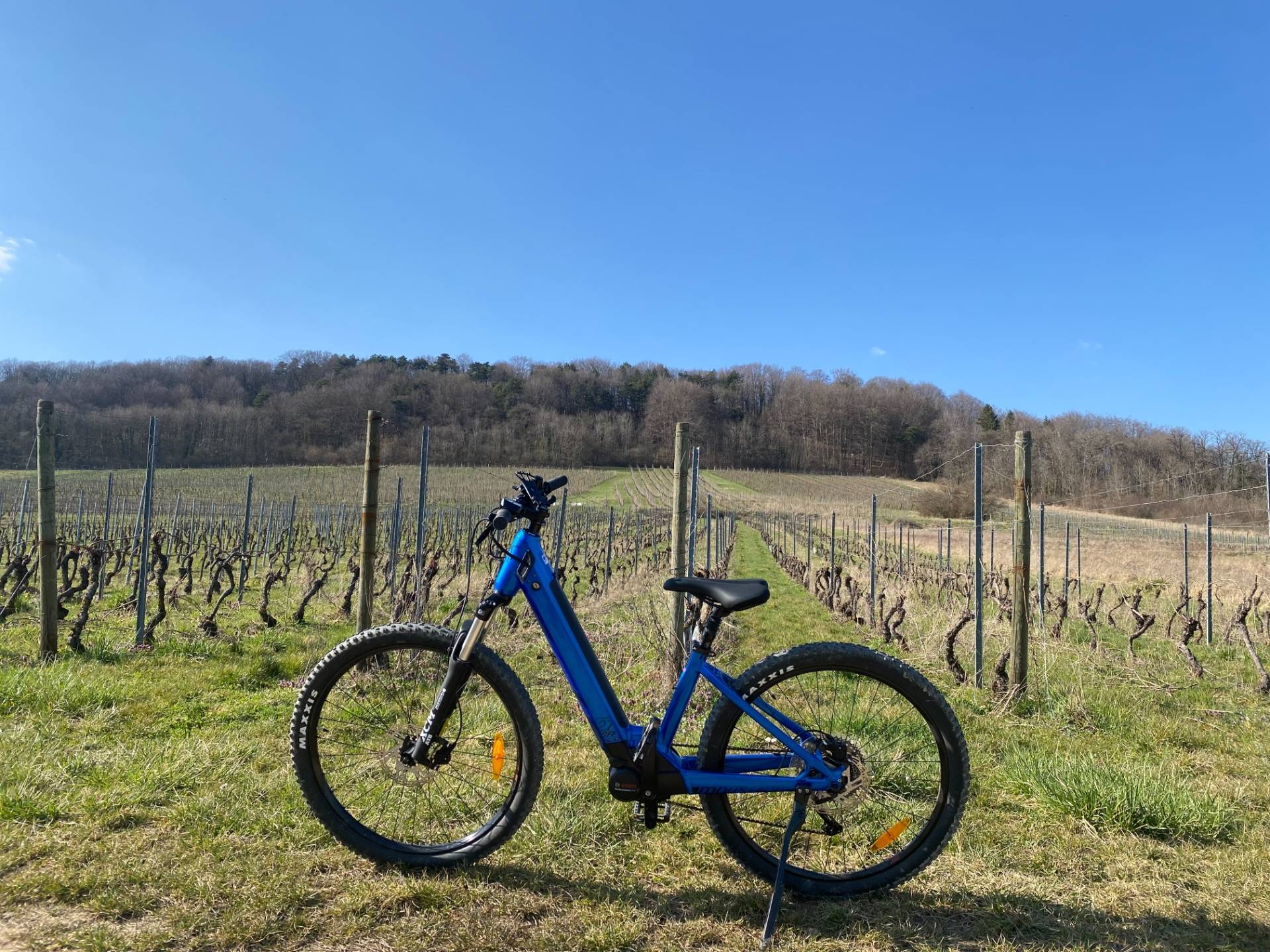 E-MTB ride and tasting