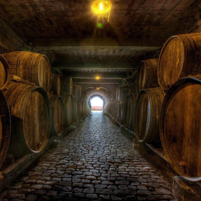 Visit and Tasting of 4 wines and 4 cheeses