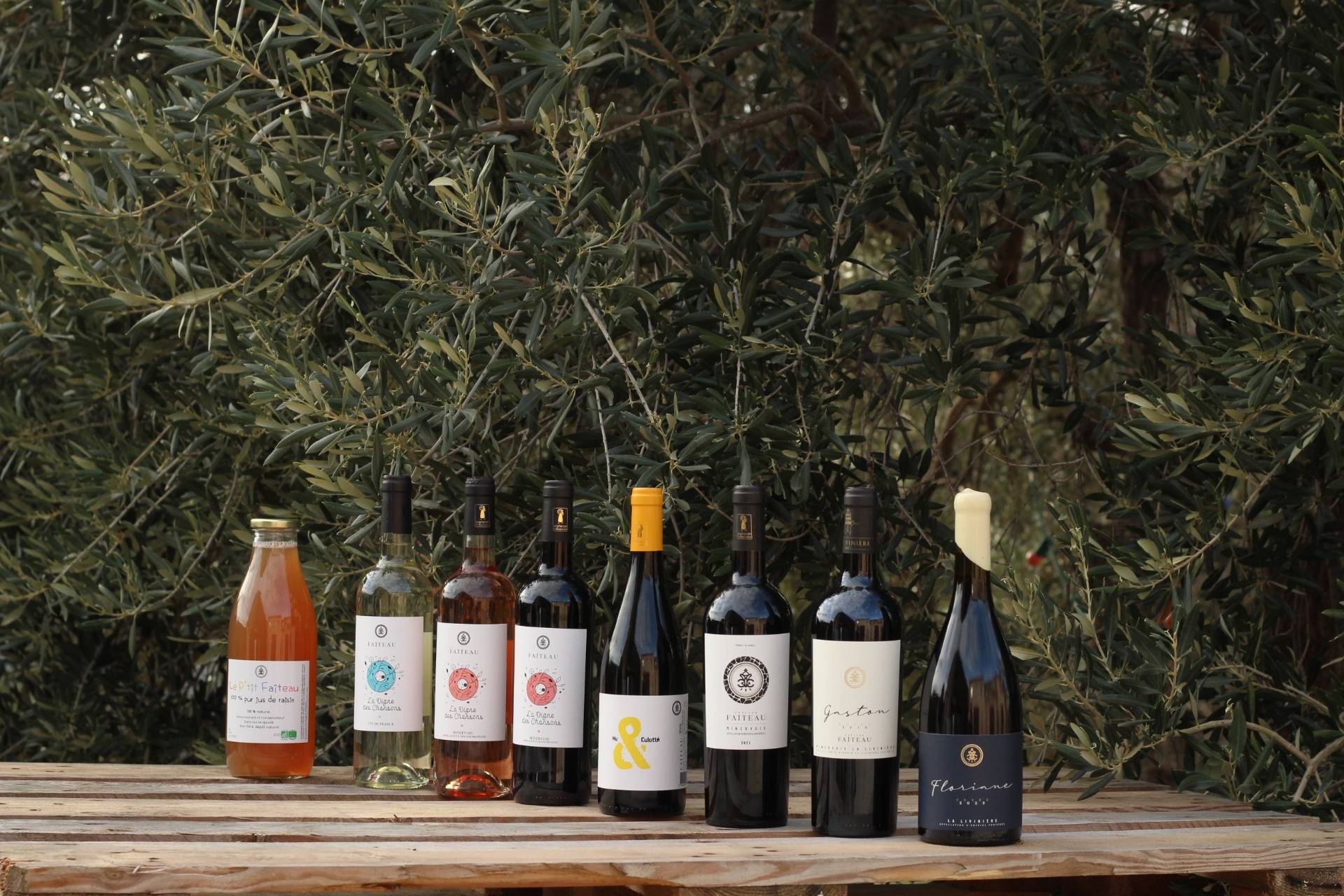 Tasting of our cuvées