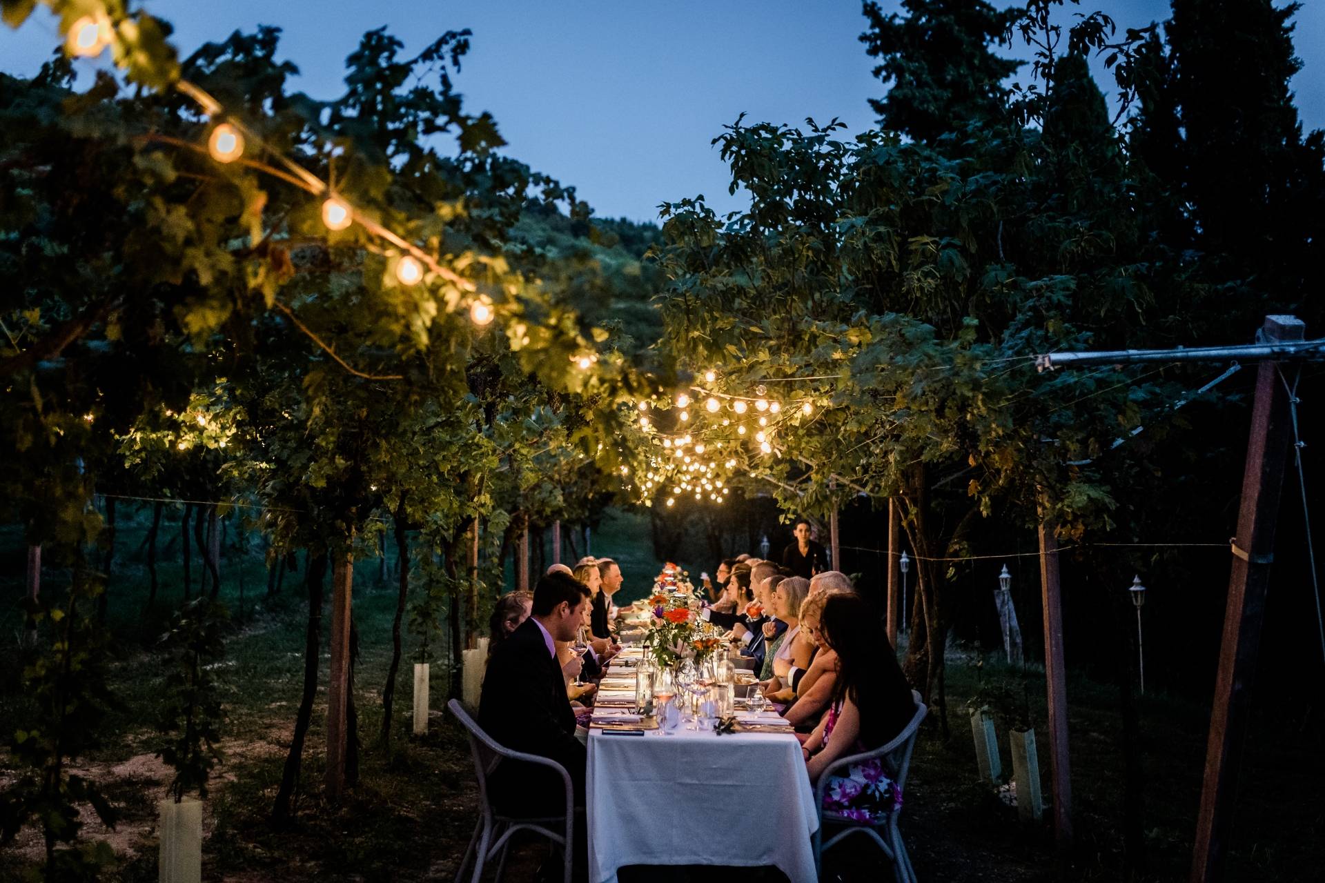 Dinner in the Vineyard with Massimago wine pairing