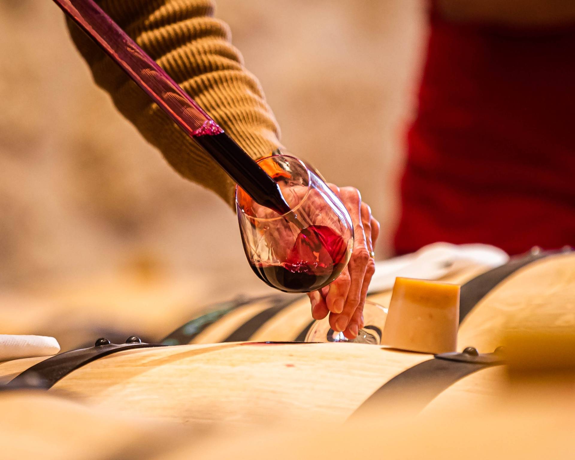 Oenology workshop “Barrel tasting”