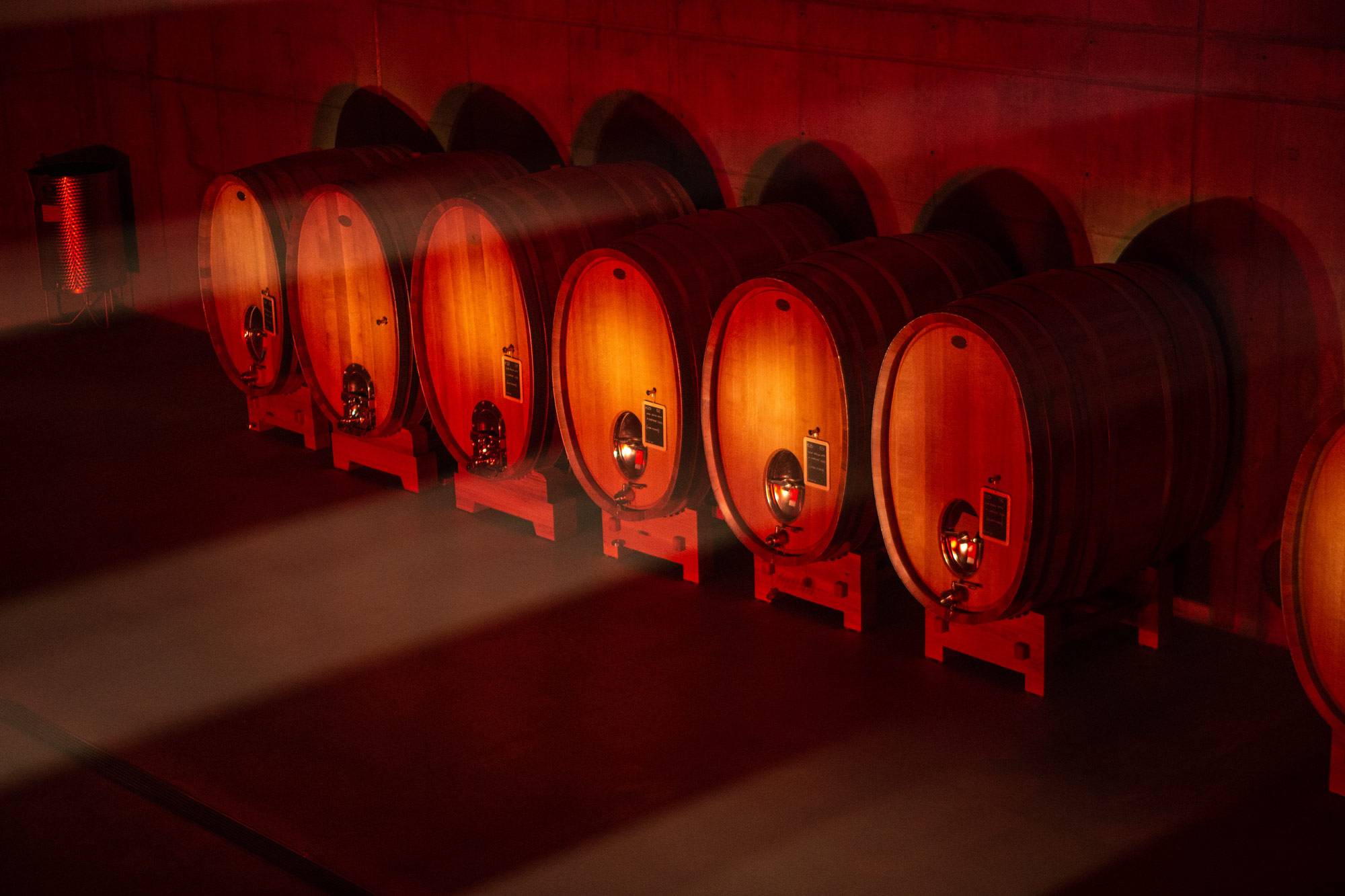 Nebbiolo tasting in Upper Piedmont