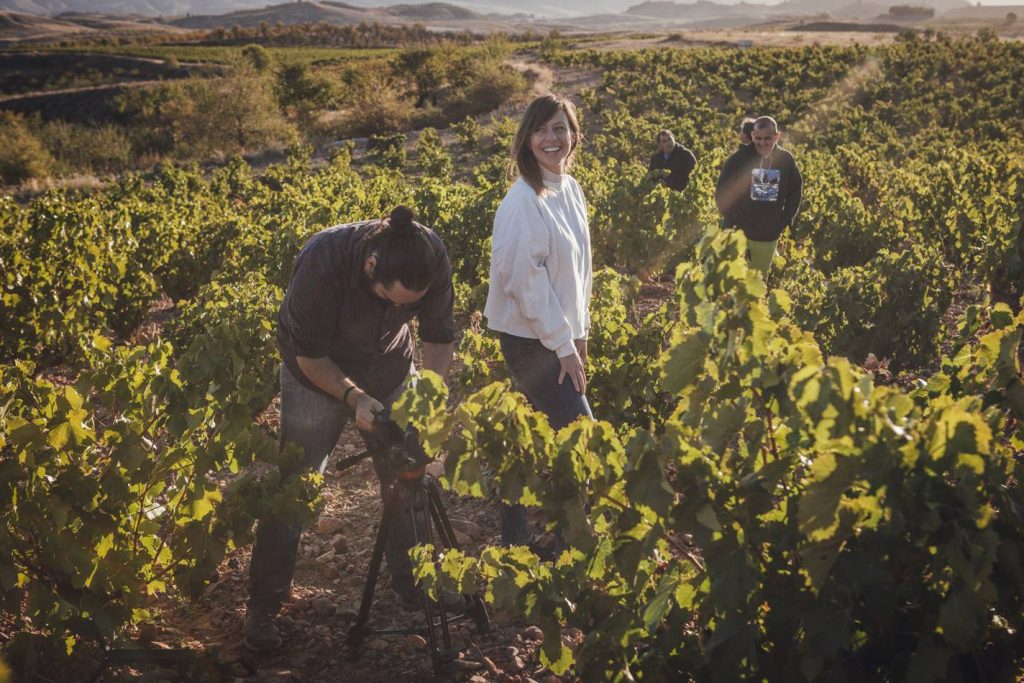 Discover the DO Calatayud and its Spanish roots