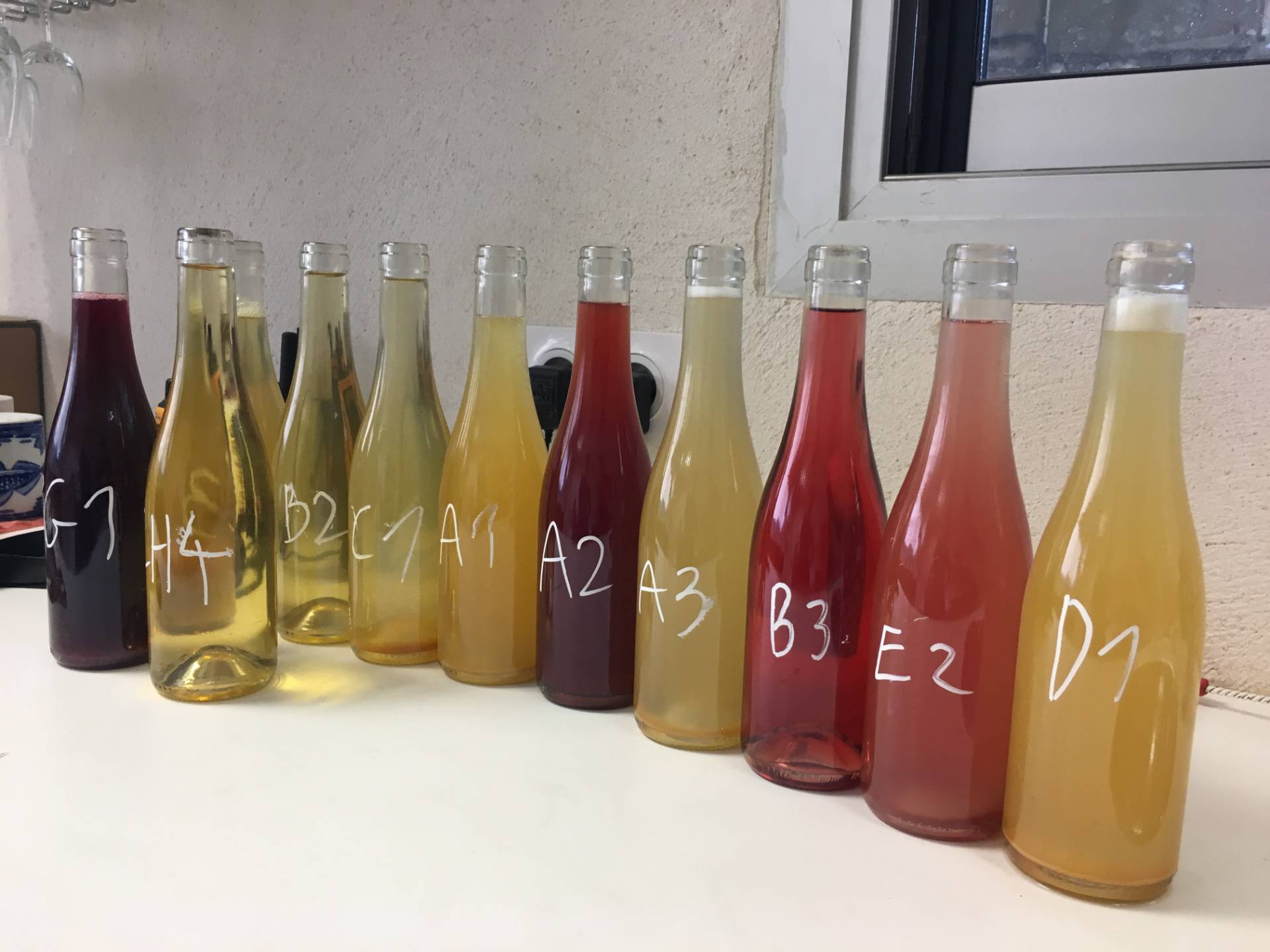 Blending workshop – Creation of a cuvée