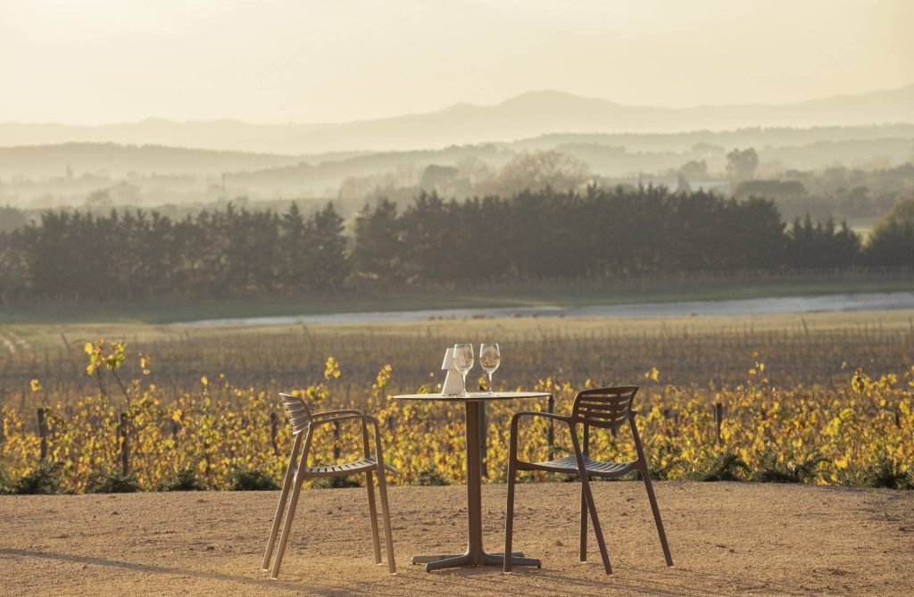 Wine Tour and Tasting at Celler Mas Geli