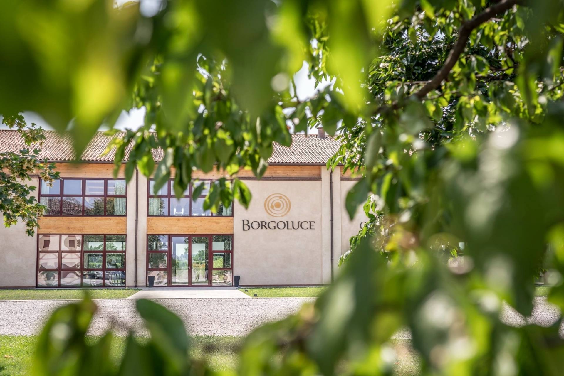 BORGOLUCE SOCIETÀ AGRICOLA S.S.