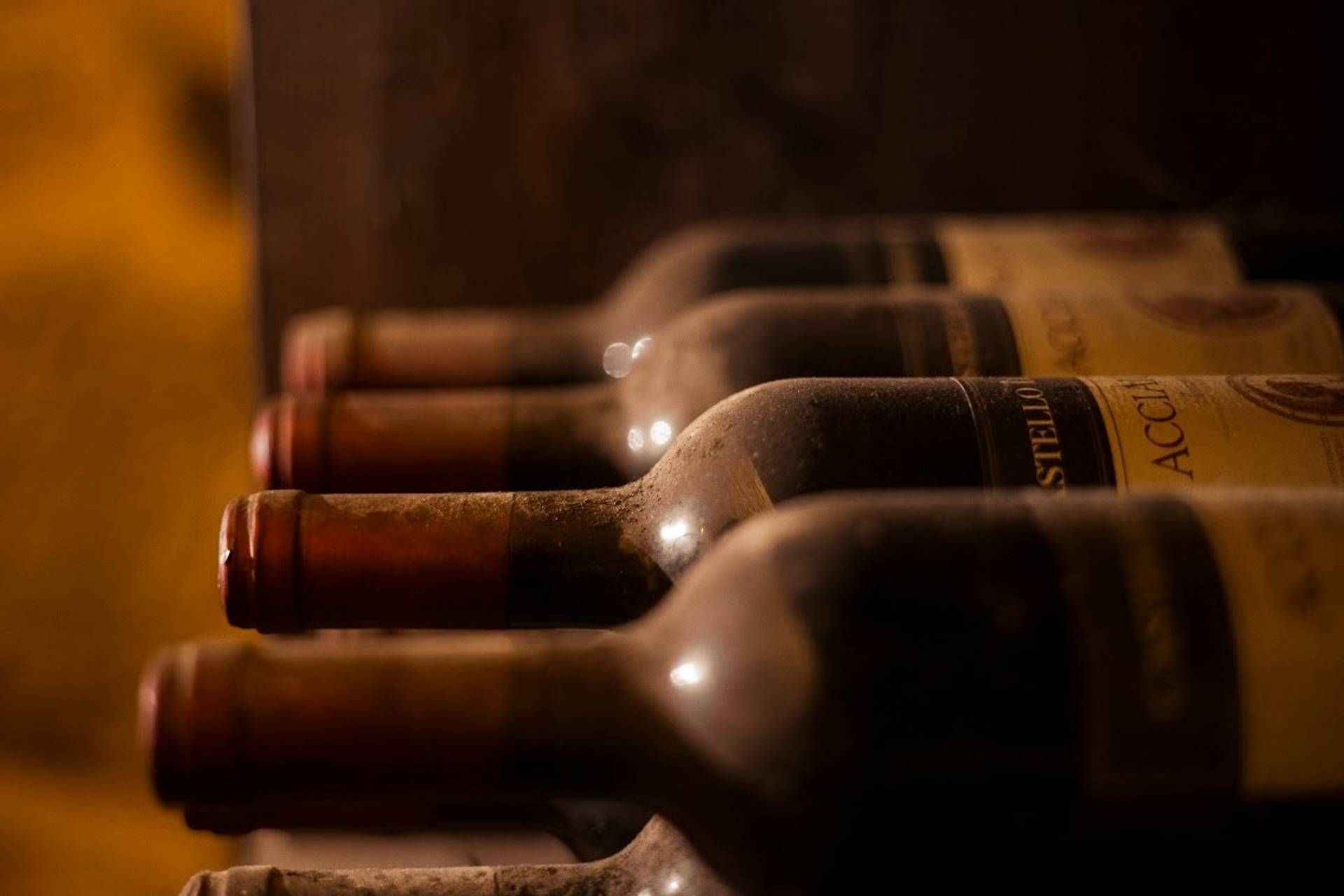 Old Vintage Tour and Tasting