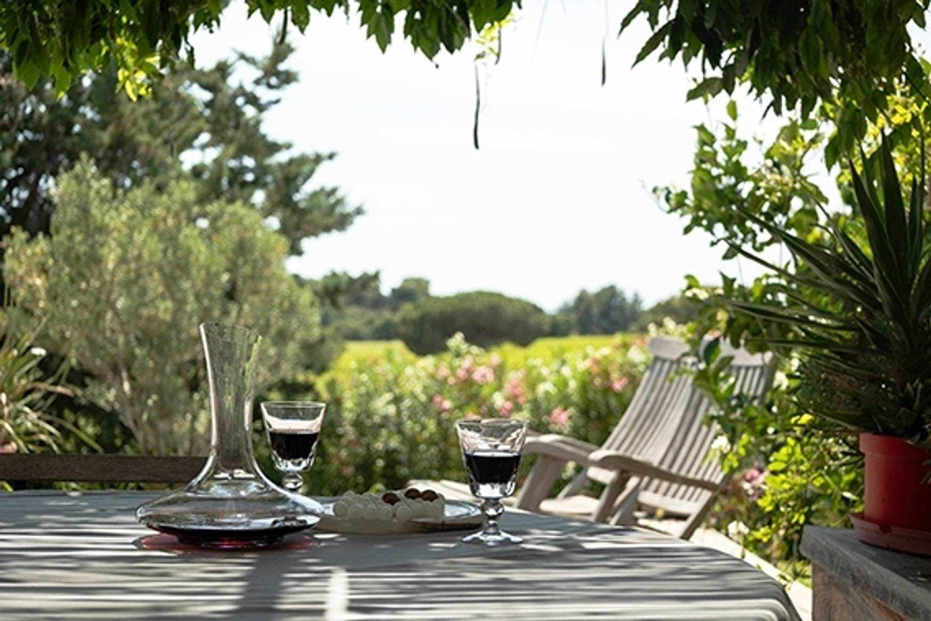 Suspended moments in the heart of the vineyards