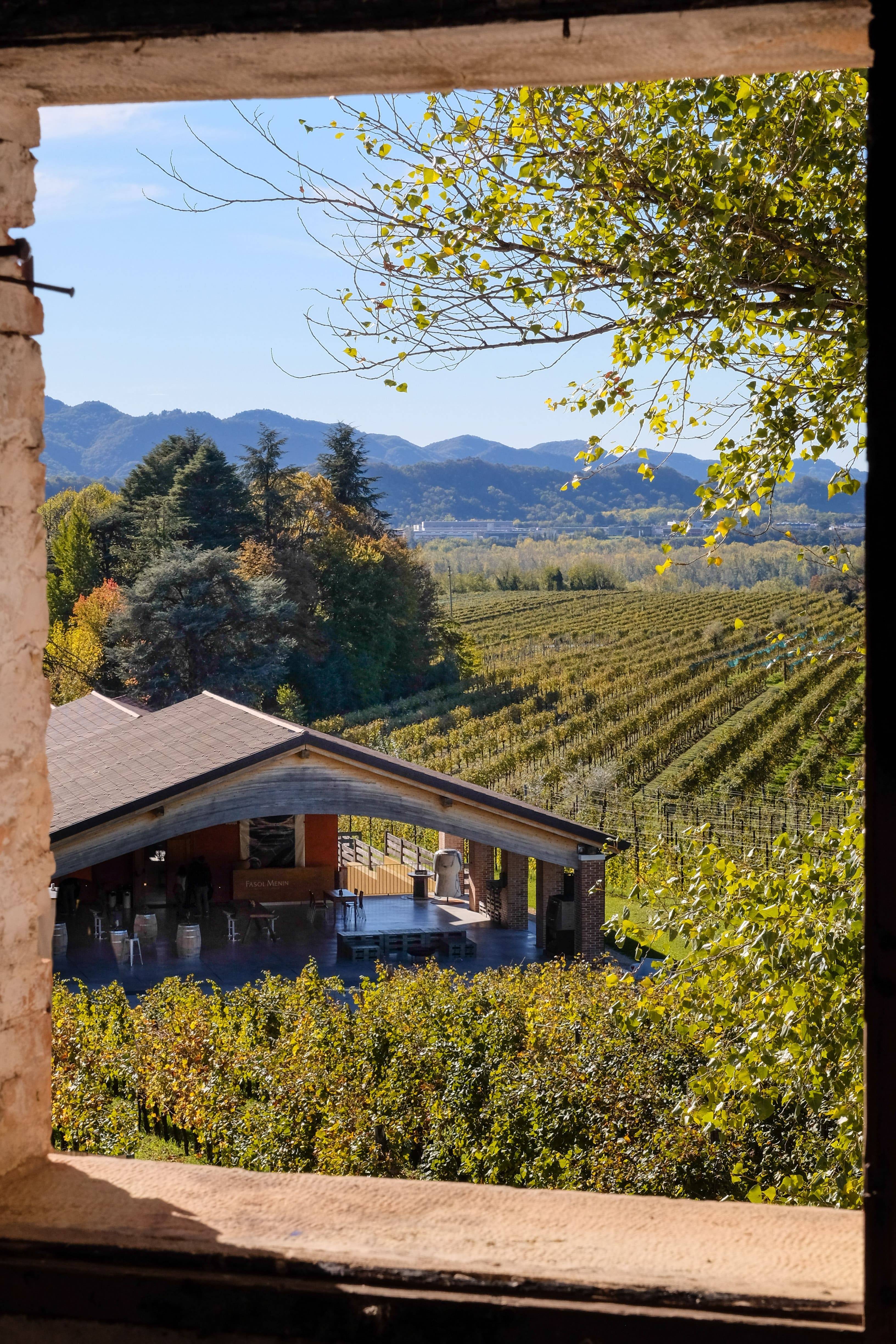 E-BIKE Tour with Valdobbiadene DOCG tasting