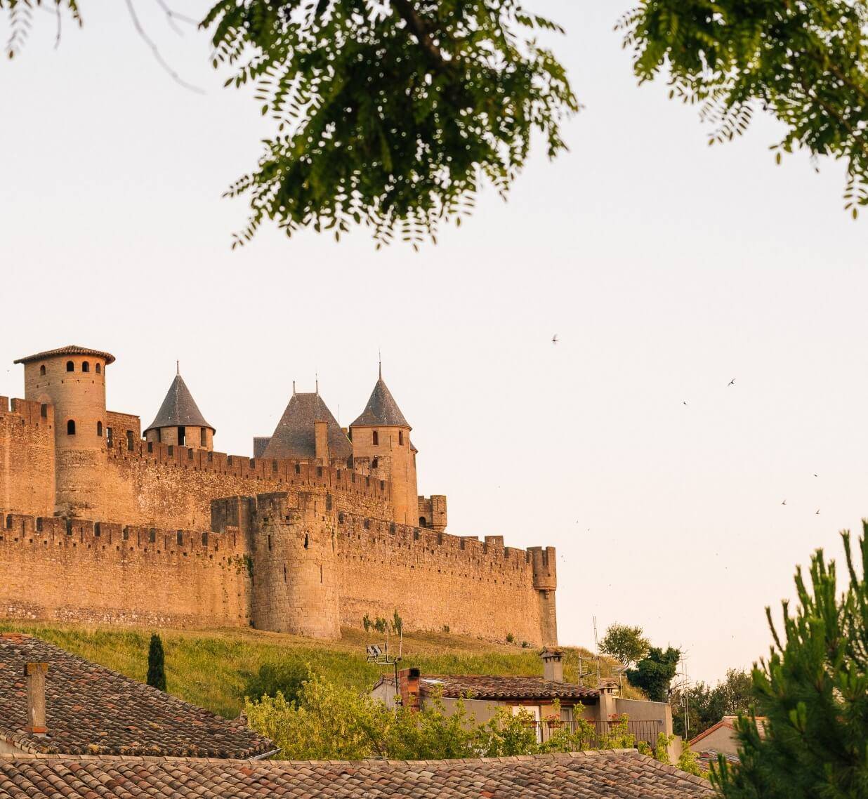 Chocolate Tasting – L’Audacieuse