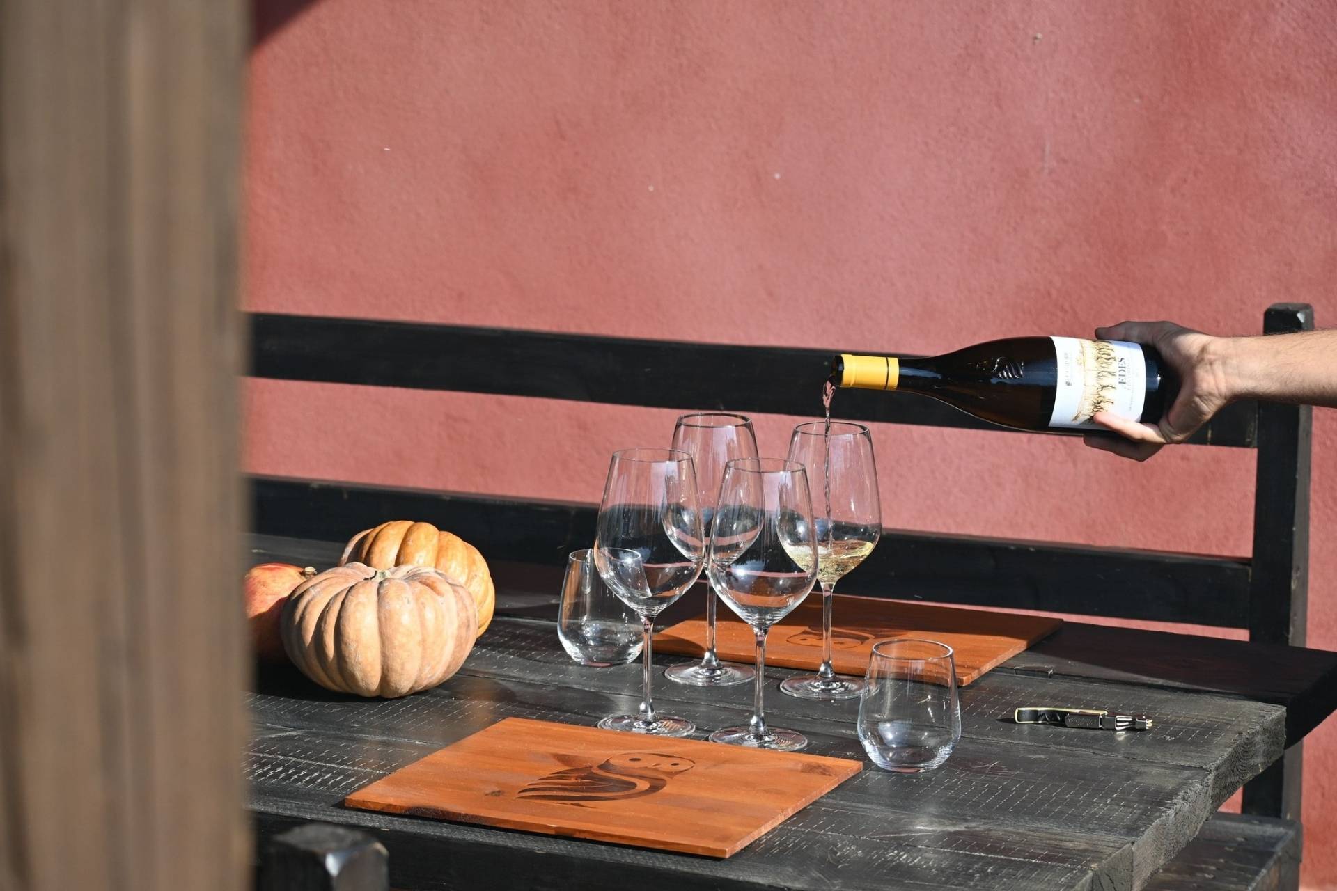 Wine tasting and lunch