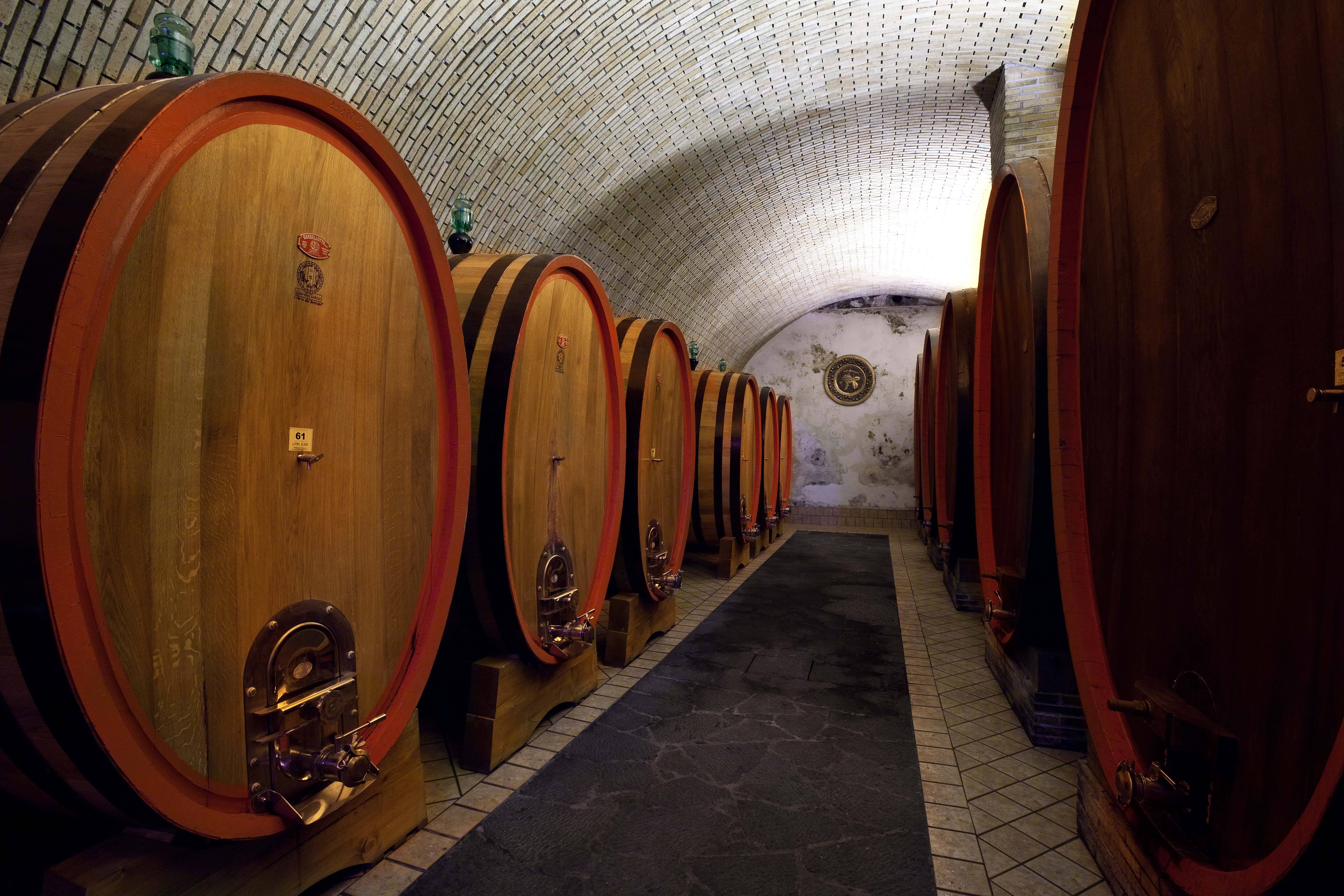 Etna Wine Experience: guided tour and tasting