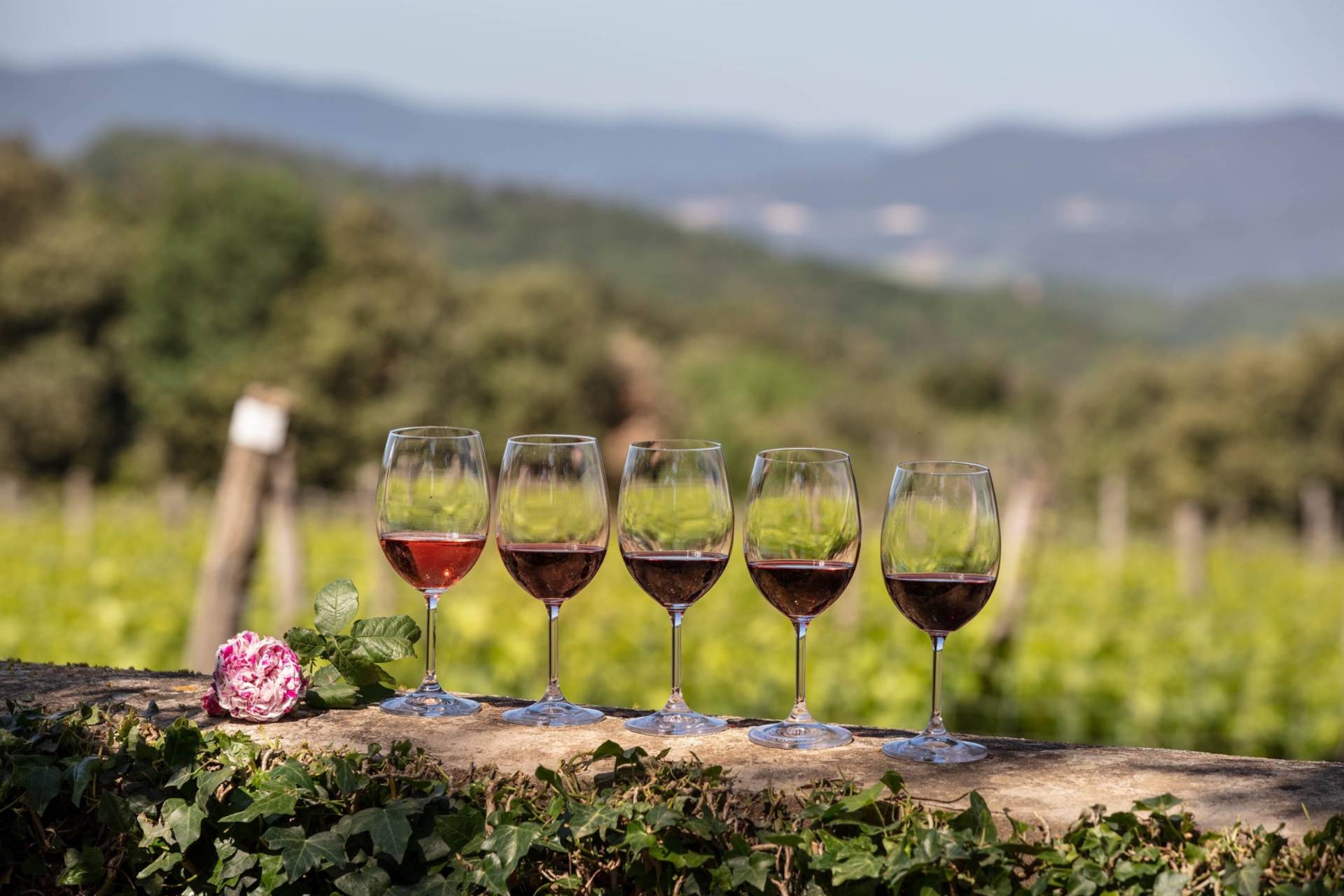 30 Years of Brunello