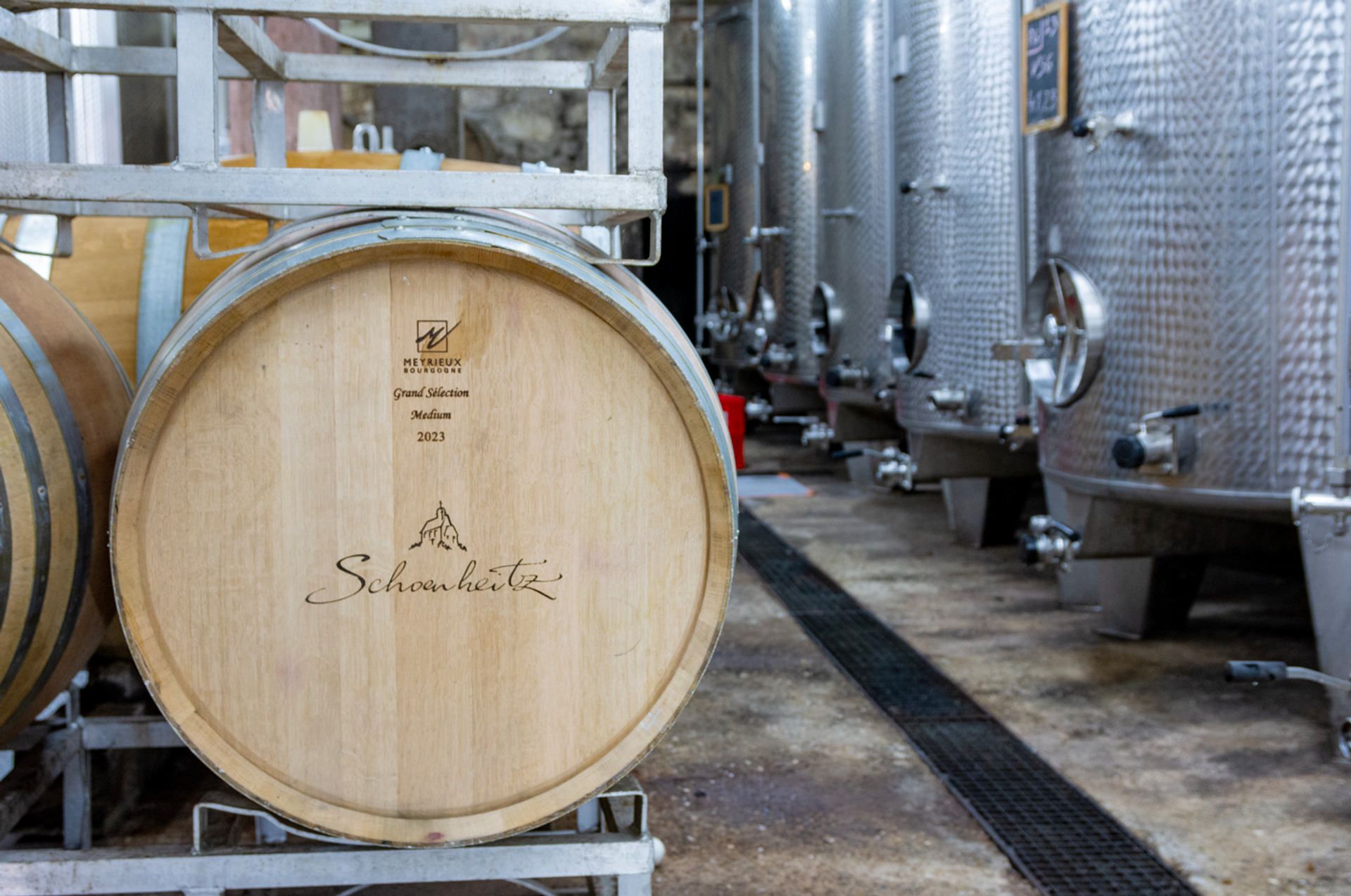 Cellar visit and tasting