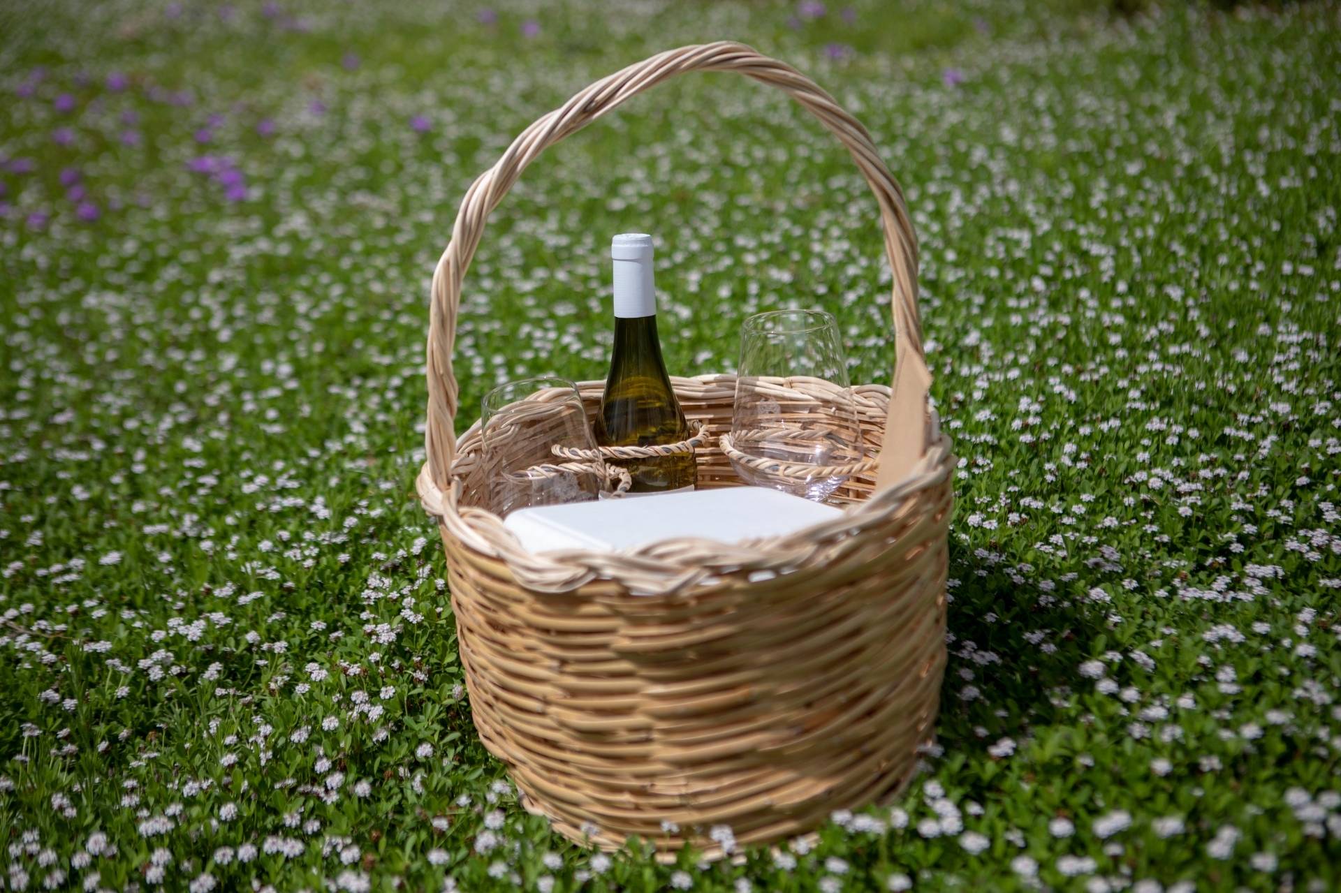 Picnic in the vineyard