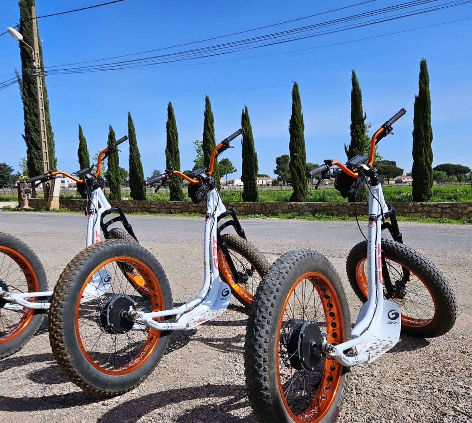 Electric scooter tour and tasting